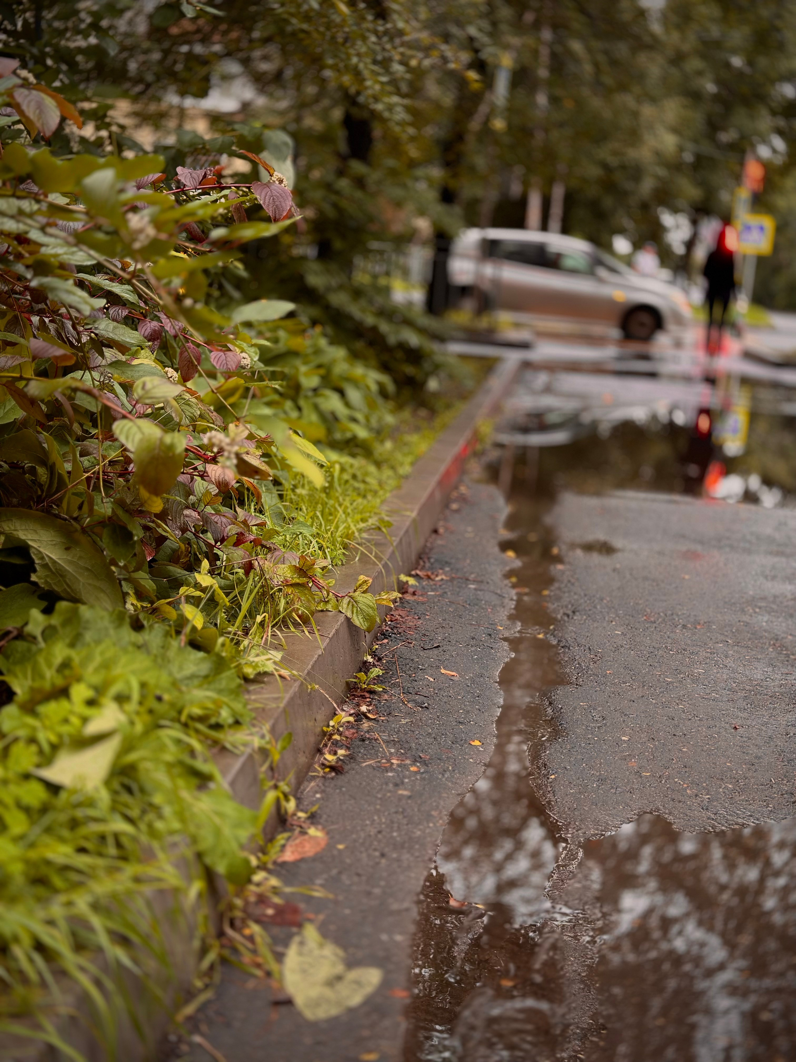 Мобильная фотография