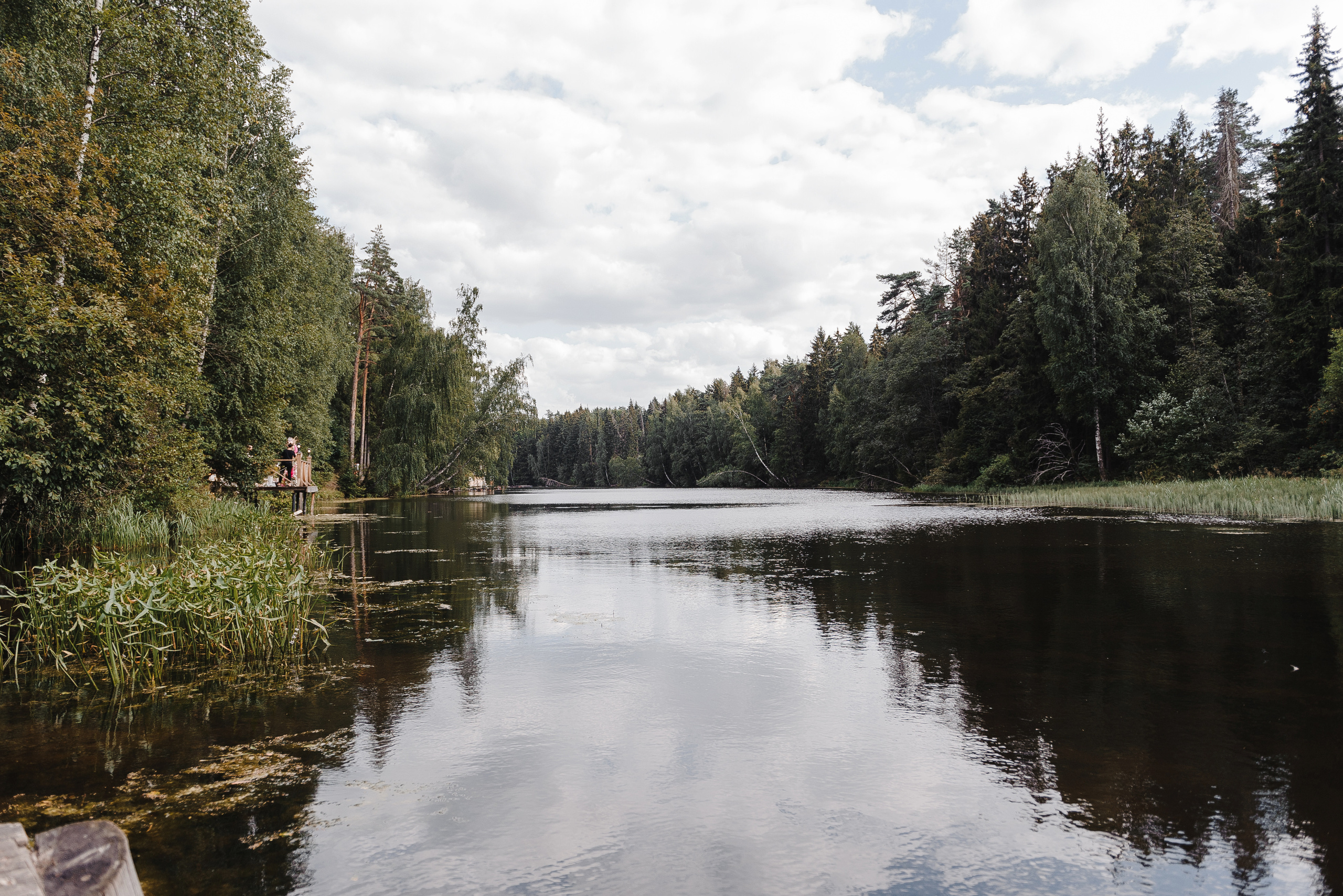 Михаил и Ксения. Свадебный фотограф в Москве Алексей Тук