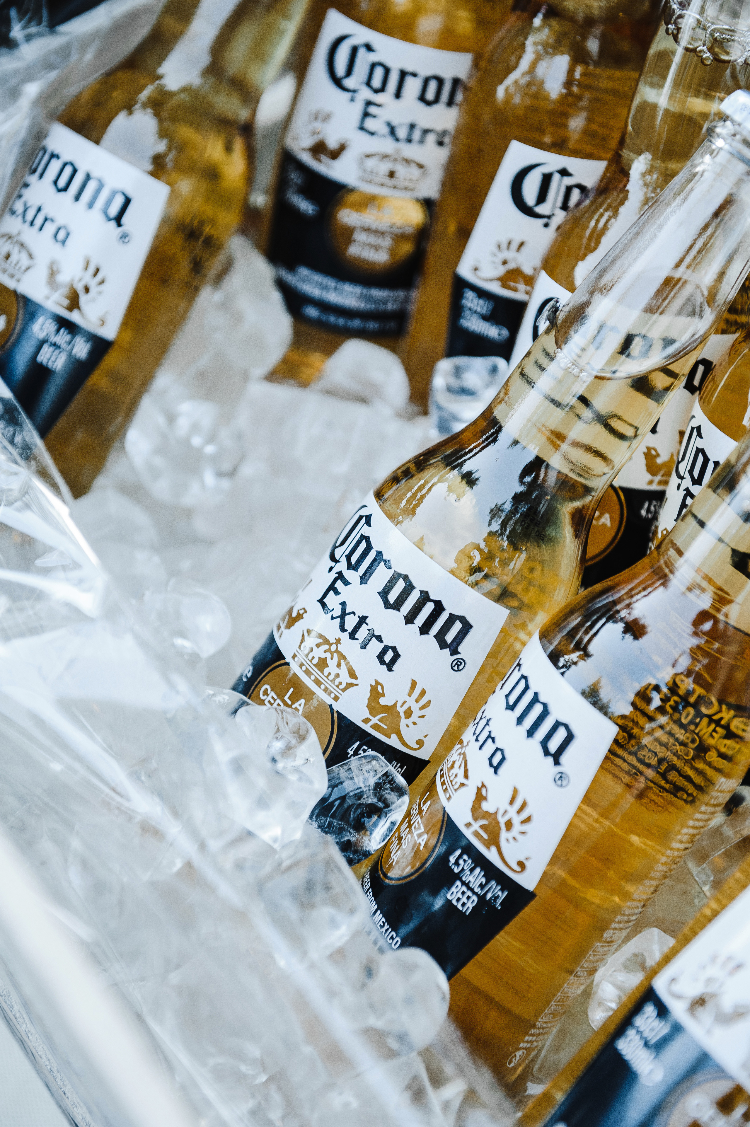 Михаил и Ксения. Свадебный фотограф в Москве Алексей Тук