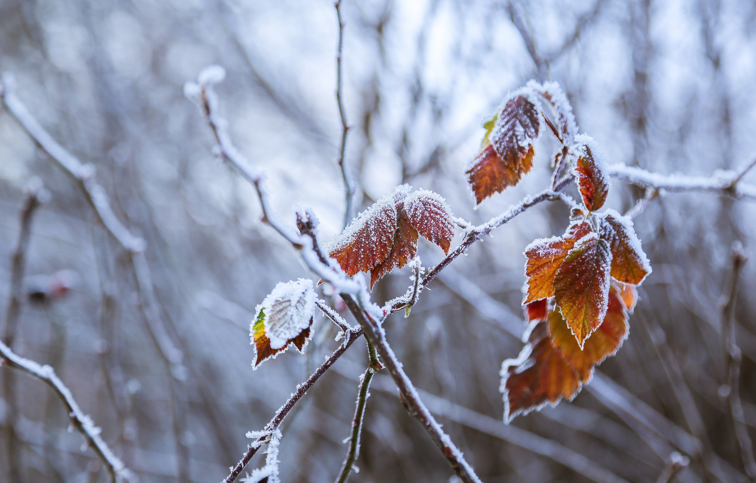 Чехия: Прага. Дарья Письменюк / Darya Leitstern — фотограф, музыкант, журналист, путешественник