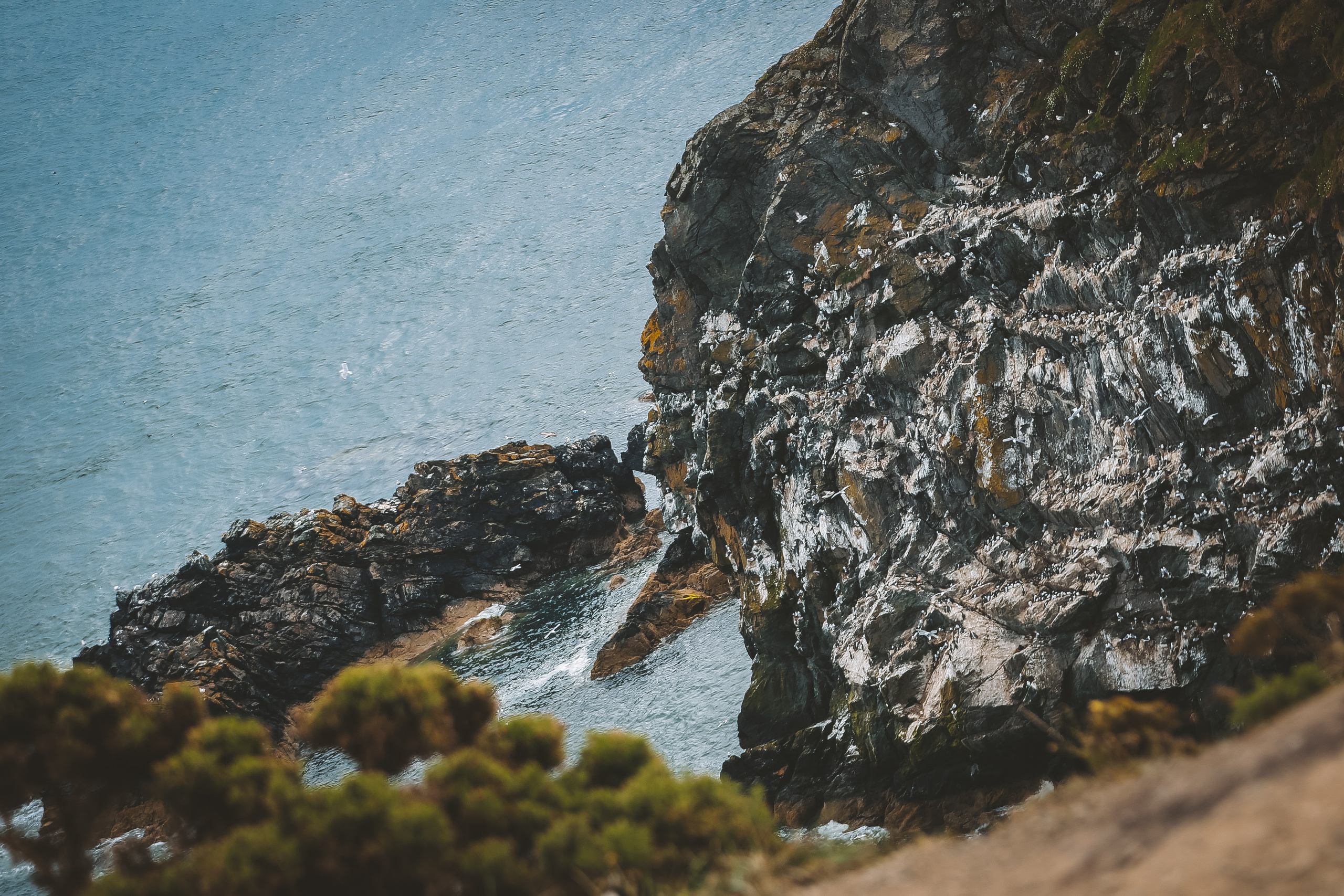 Ирландия: Хоут — тропинка на одного. Дарья Письменюк / Darya Leitstern — фотограф, музыкант, журналист, путешественник