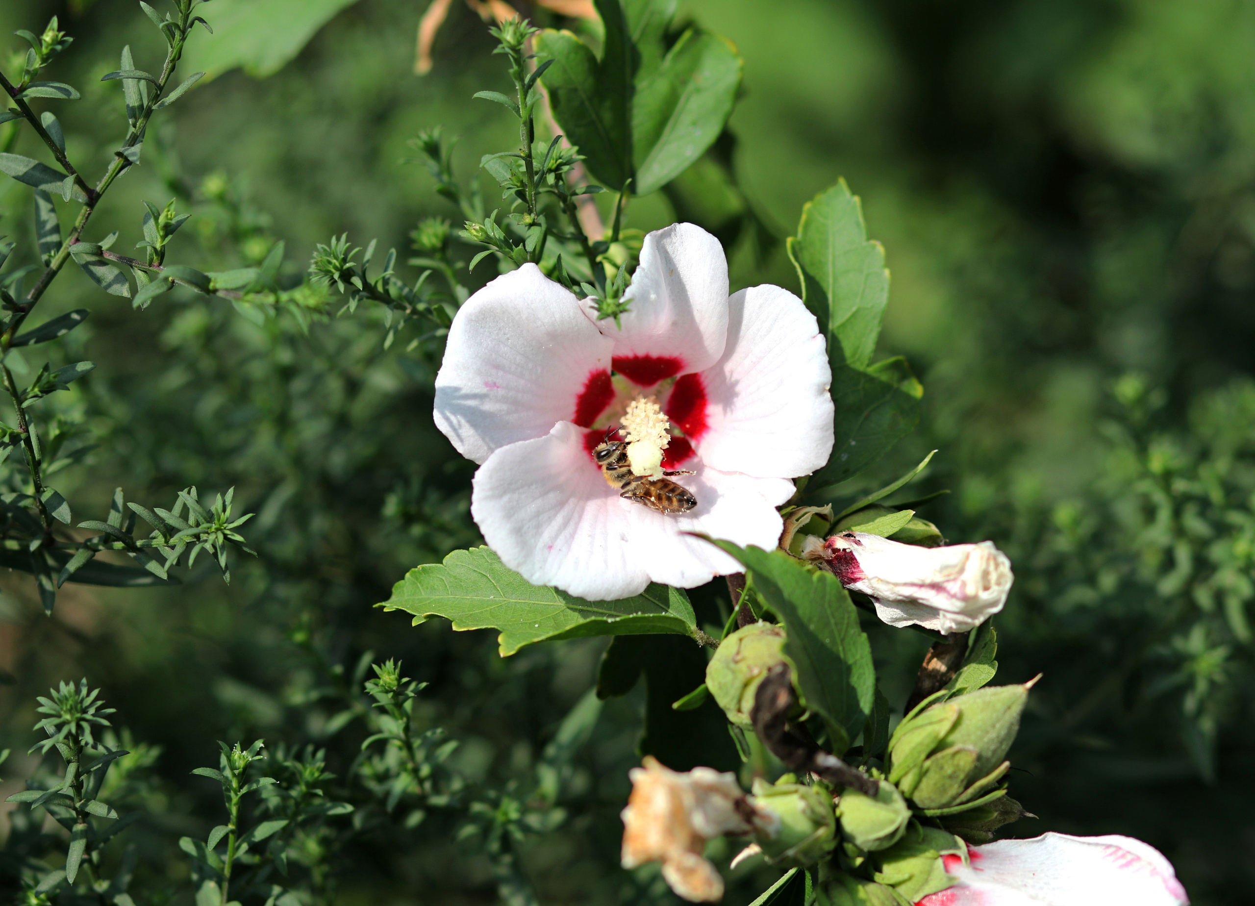 МАГАЗИН и его витрина. Фото-художник и Репортажный фотограф Николаев Александр Алексеевич