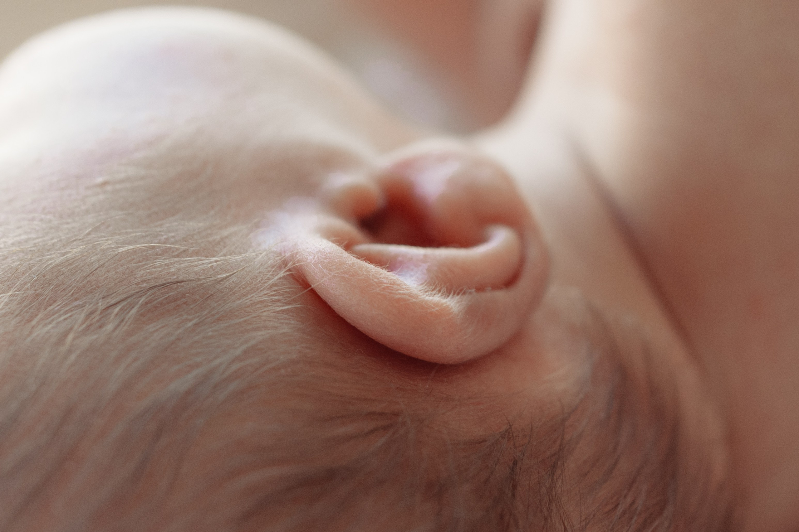 Newborn. Фотограф Виктория Юленкова