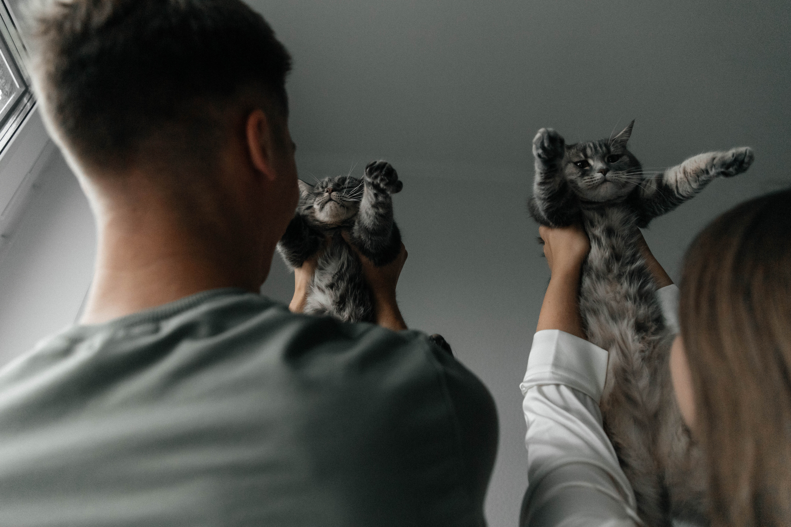 Другое. Свадебный фотограф Москва