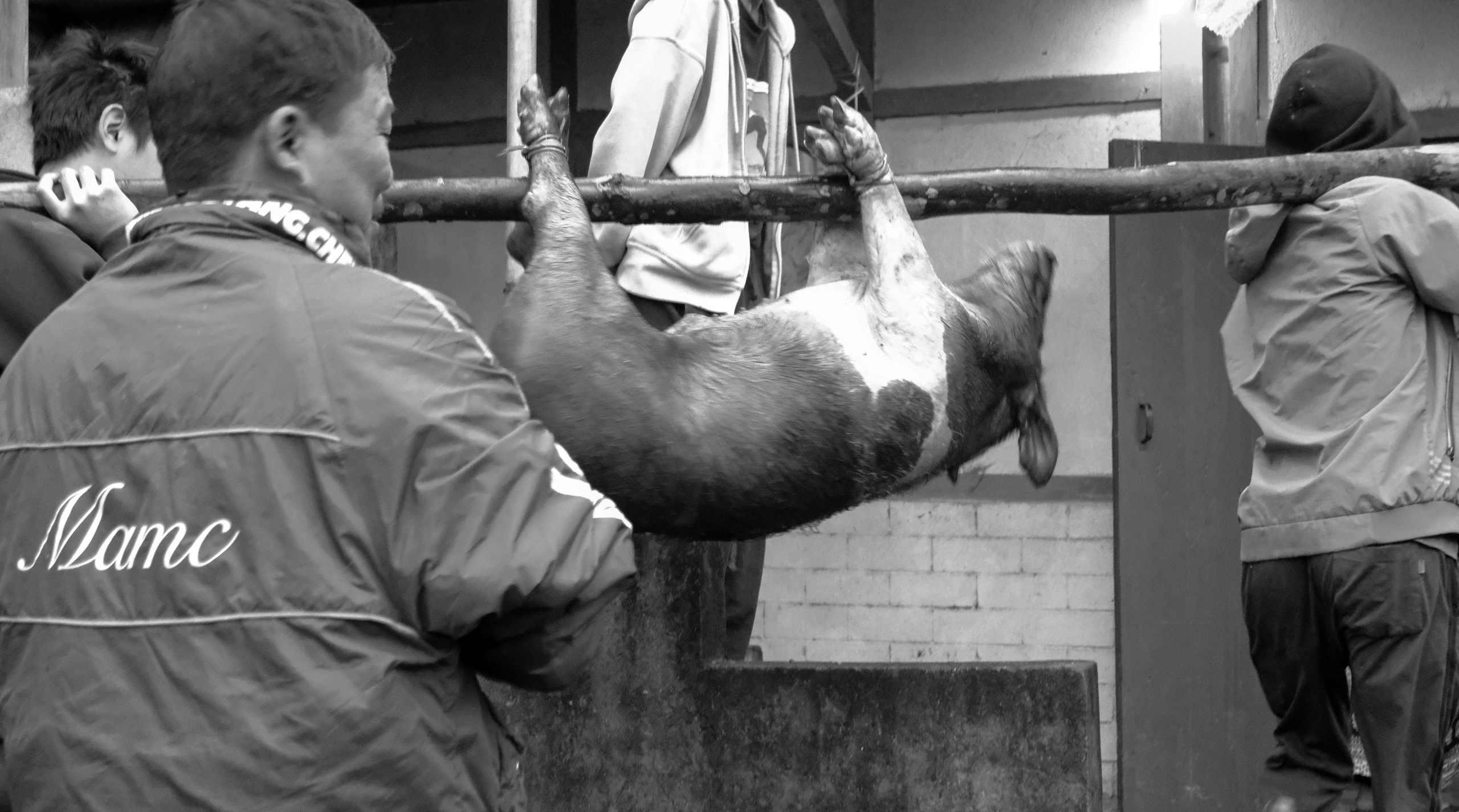 Жертвоприношение. Фотографии из путешествий