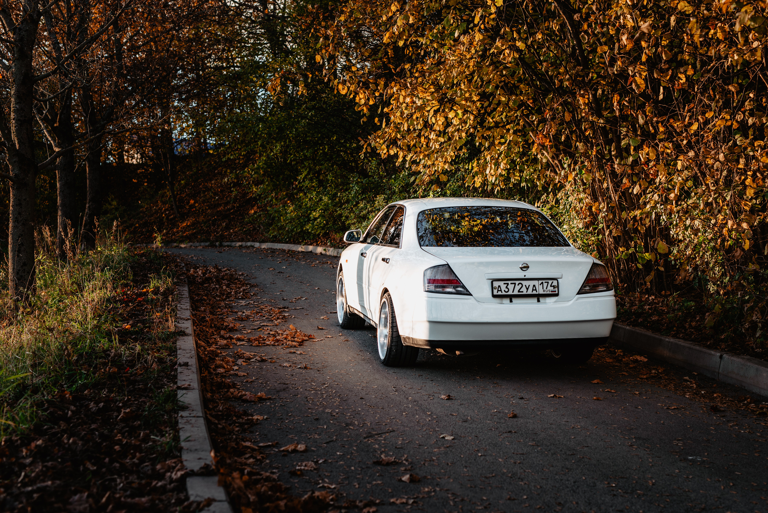 Теплая осенняя история. Фотограф в Санкт-Петербурге и Ленинградской области