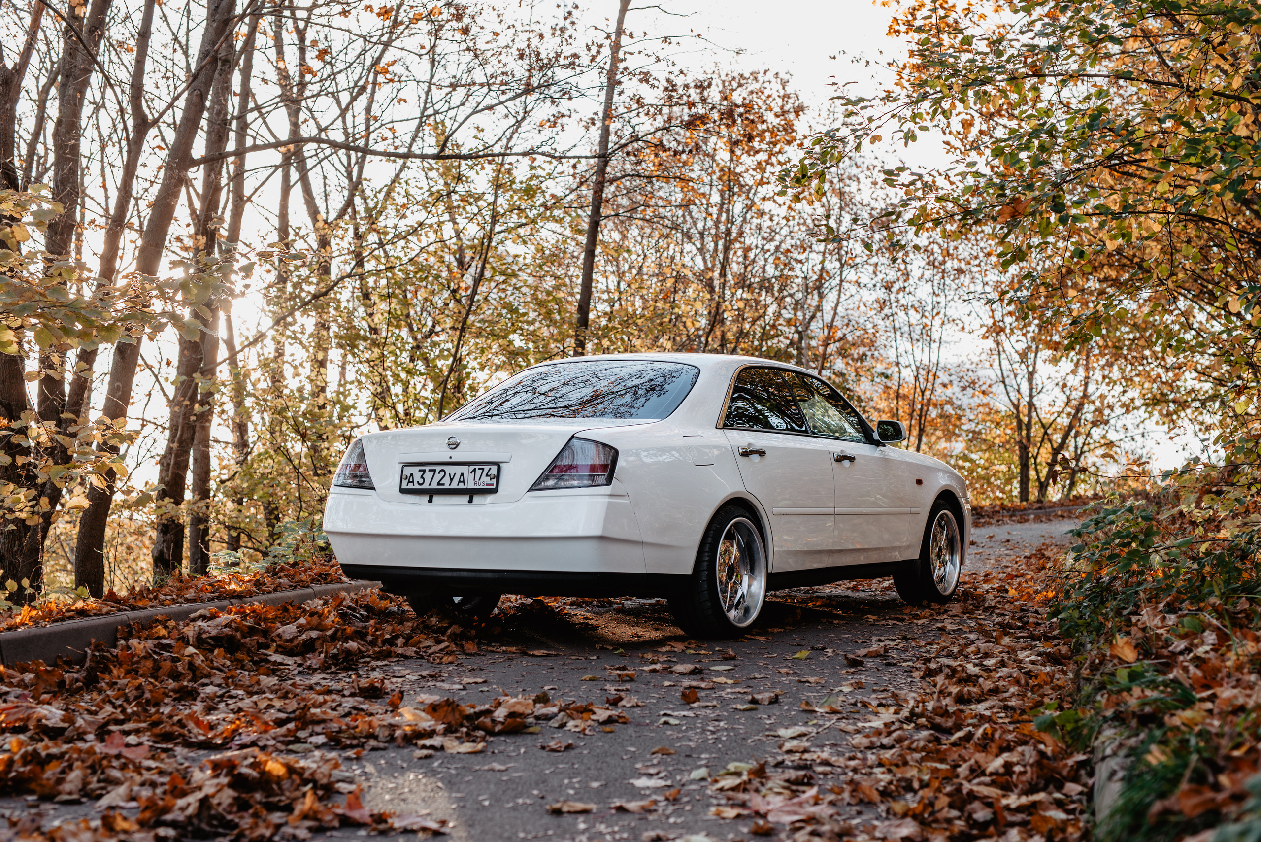 Теплая осенняя история. Фотограф в Санкт-Петербурге и Ленинградской области