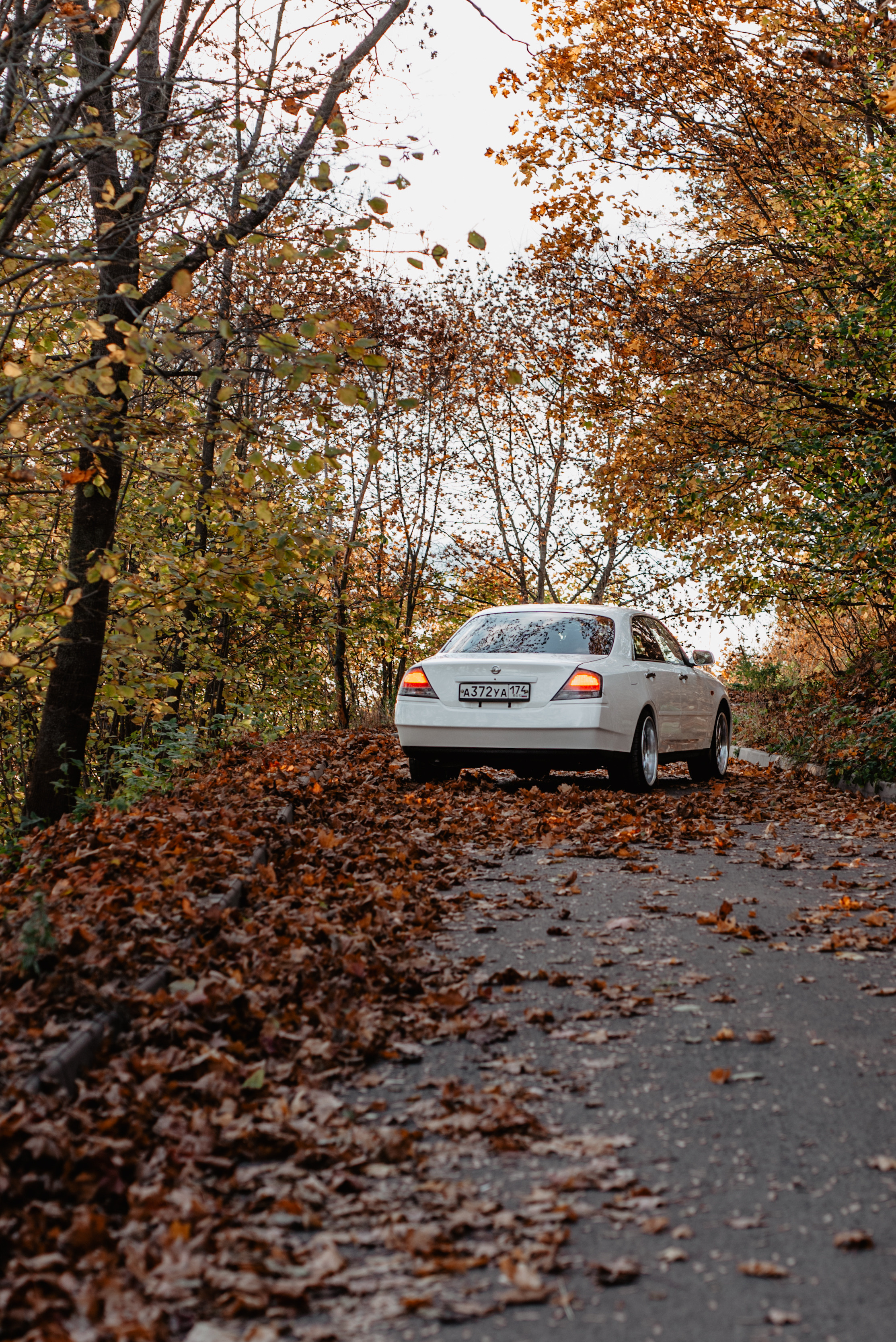 Теплая осенняя история. Фотограф в Санкт-Петербурге и Ленинградской области