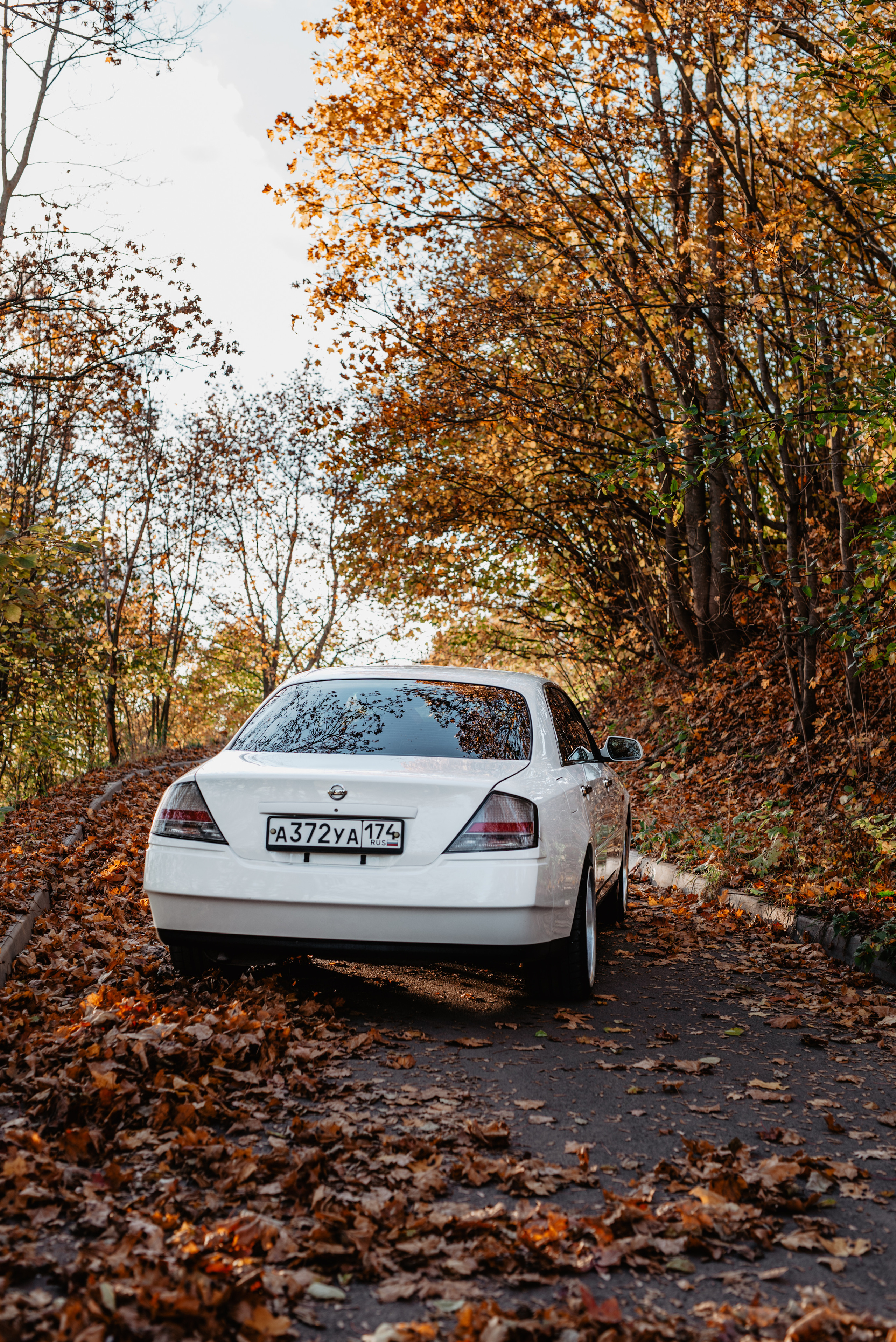 Теплая осенняя история. Фотограф в Санкт-Петербурге и Ленинградской области