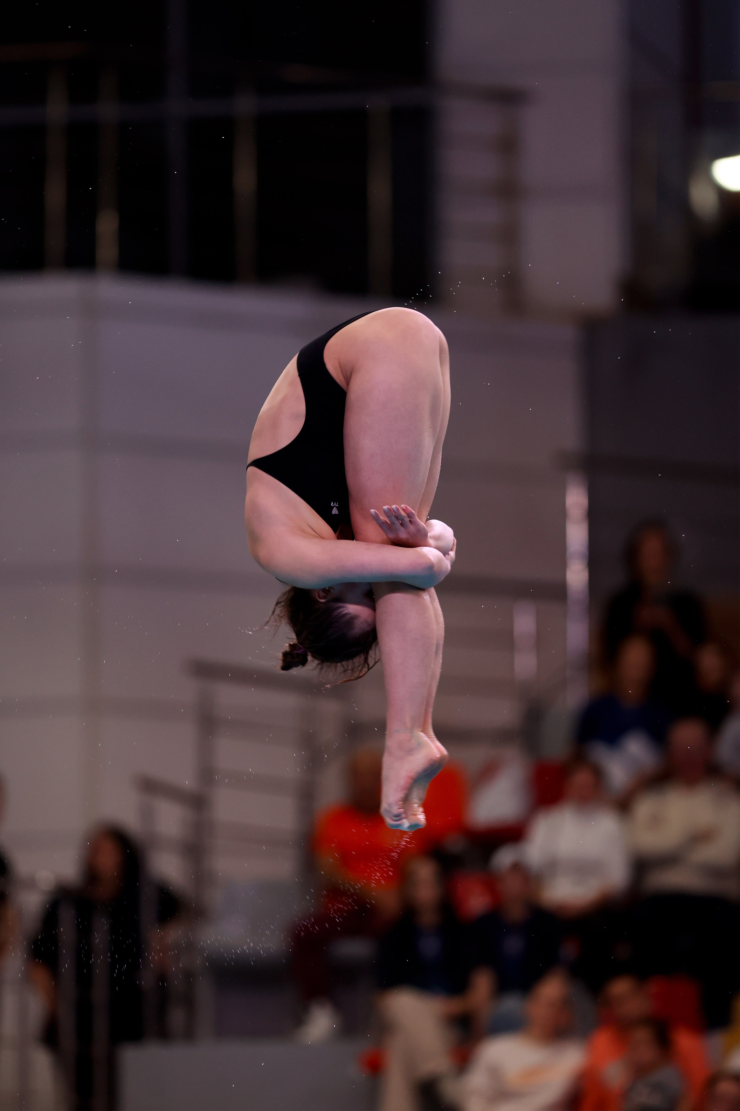 Кубок России по прыжкам в воду 04-08.02.2025. Спортивный и репортажный фотограф Антон Тереханов