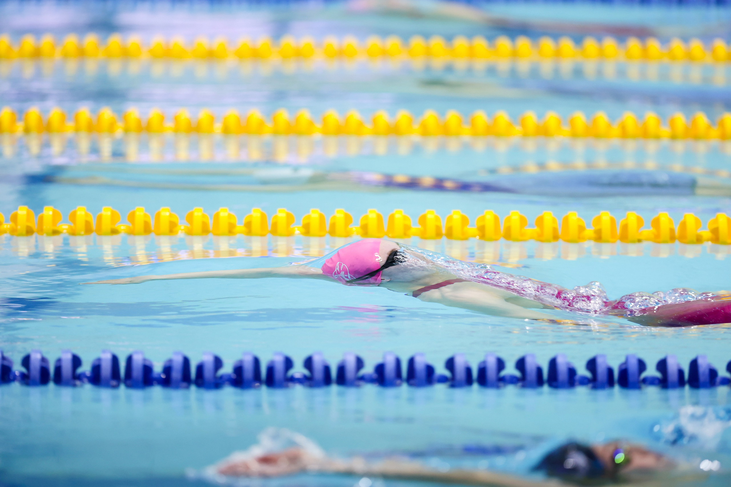 Чемпионат России по плаванию 25 м 21-26.11.2024. Спортивный и репортажный фотограф Антон Тереханов