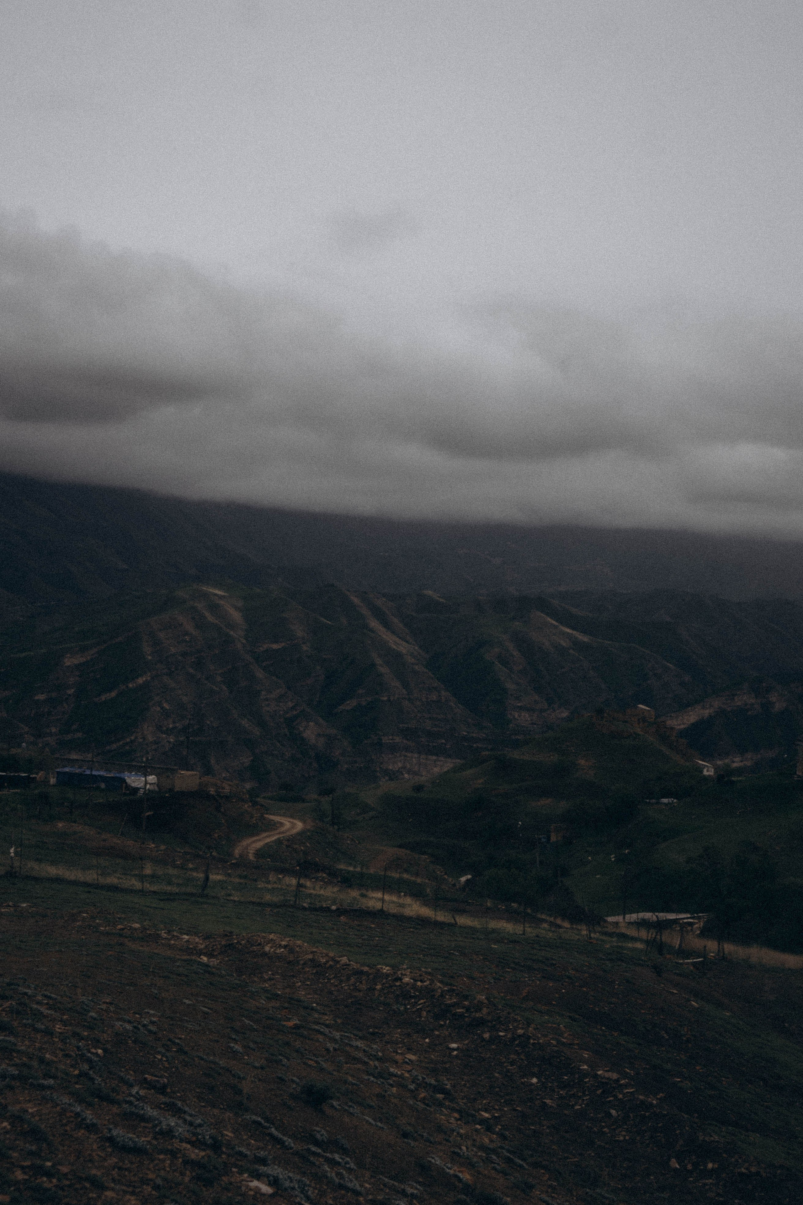 Кавказ. Профессиональный фотограф, Санкт-Петербург — Виктория Богомолова