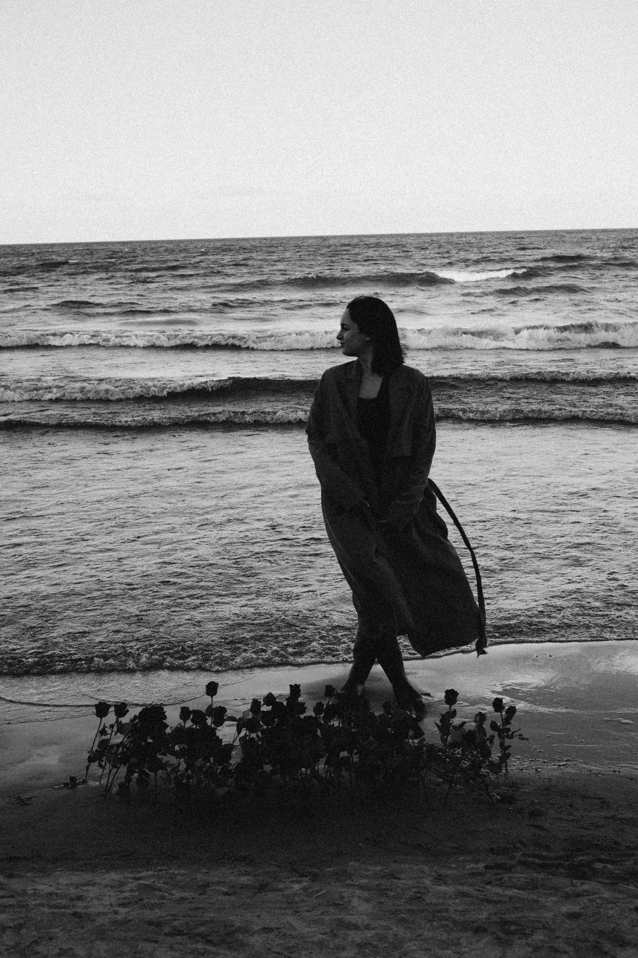 Розы. Профессиональный фотограф, Санкт-Петербург — Виктория Богомолова