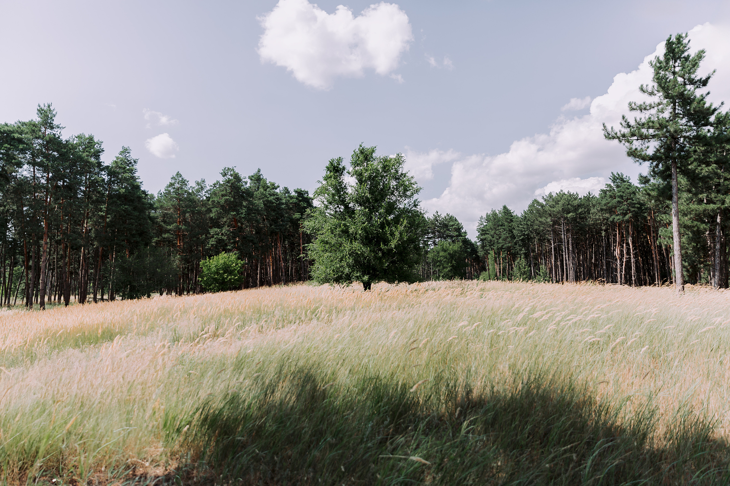 Софья и Саша