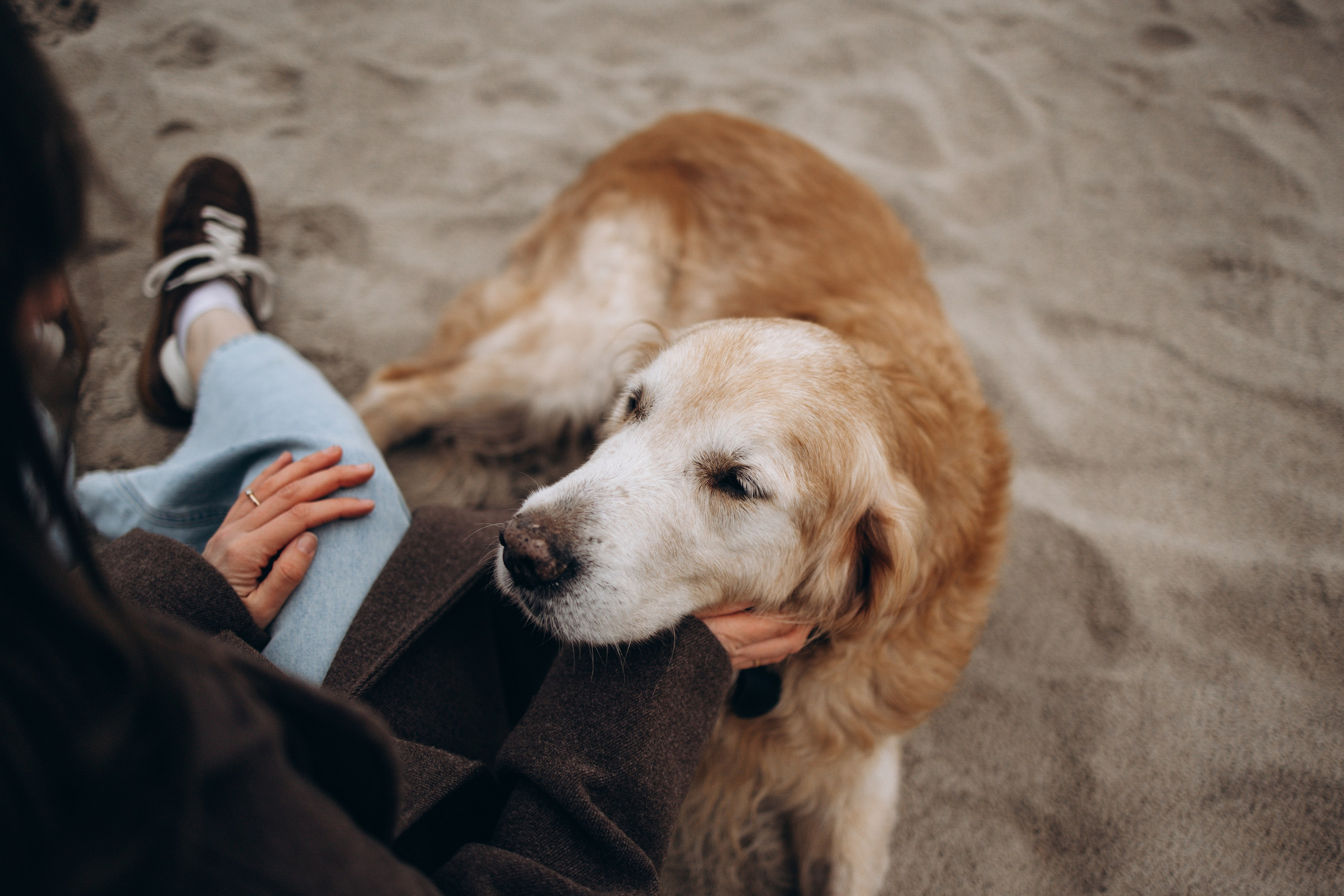 Юля и Максик. Фотограф — Анималист | Санкт-Петербург