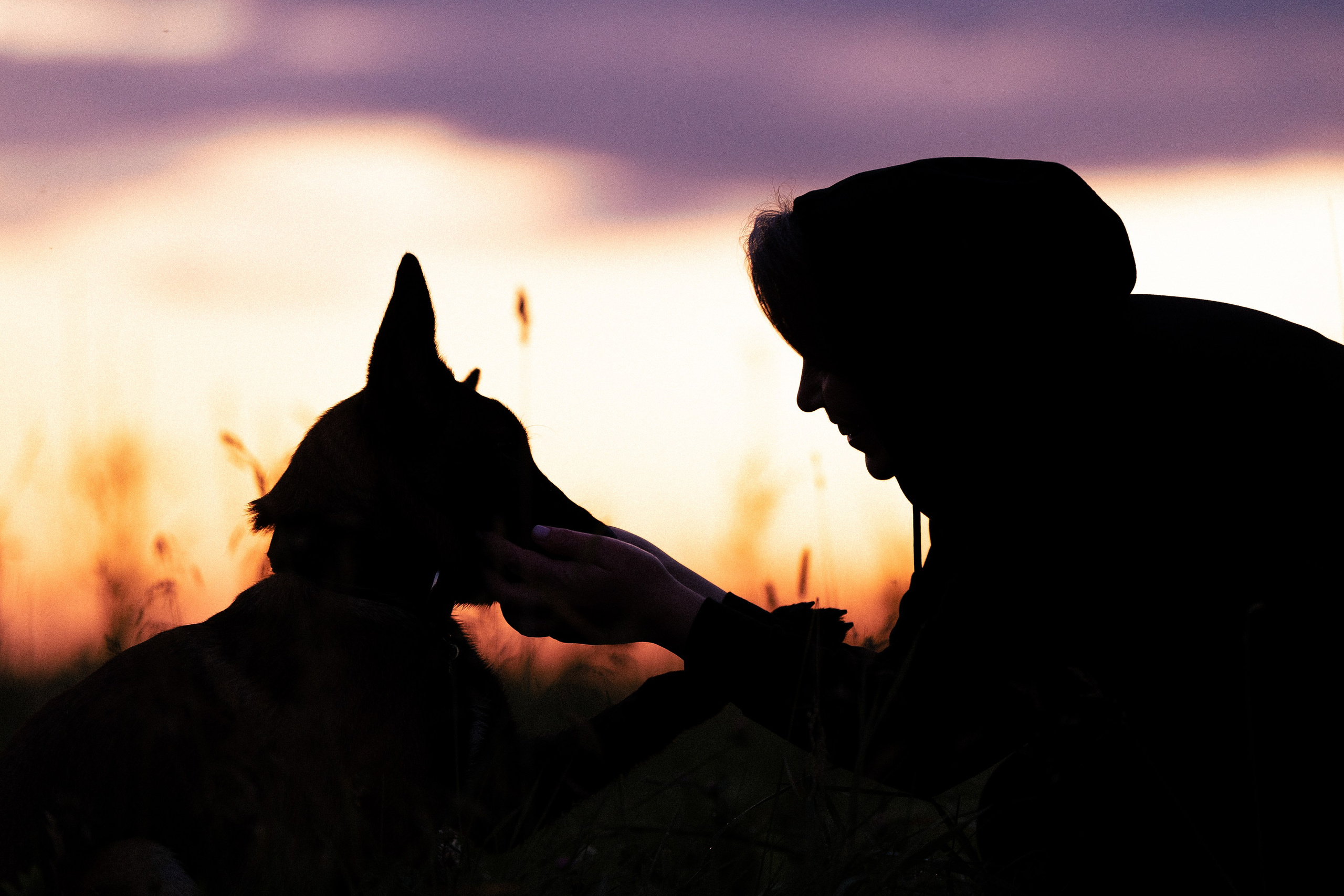Галина и Лоя. Фотограф и видеограф анималист Аганина Дарья