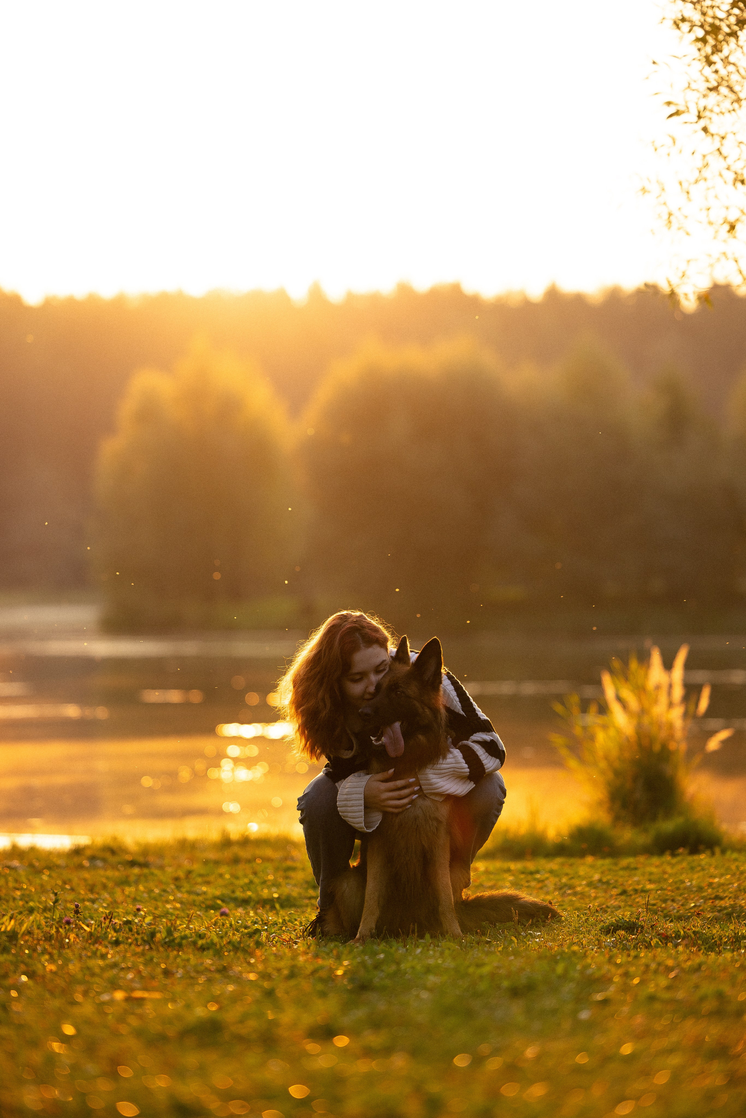 Алена, Матвей, Фанни и Фрея. Фотограф и видеограф анималист Аганина Дарья