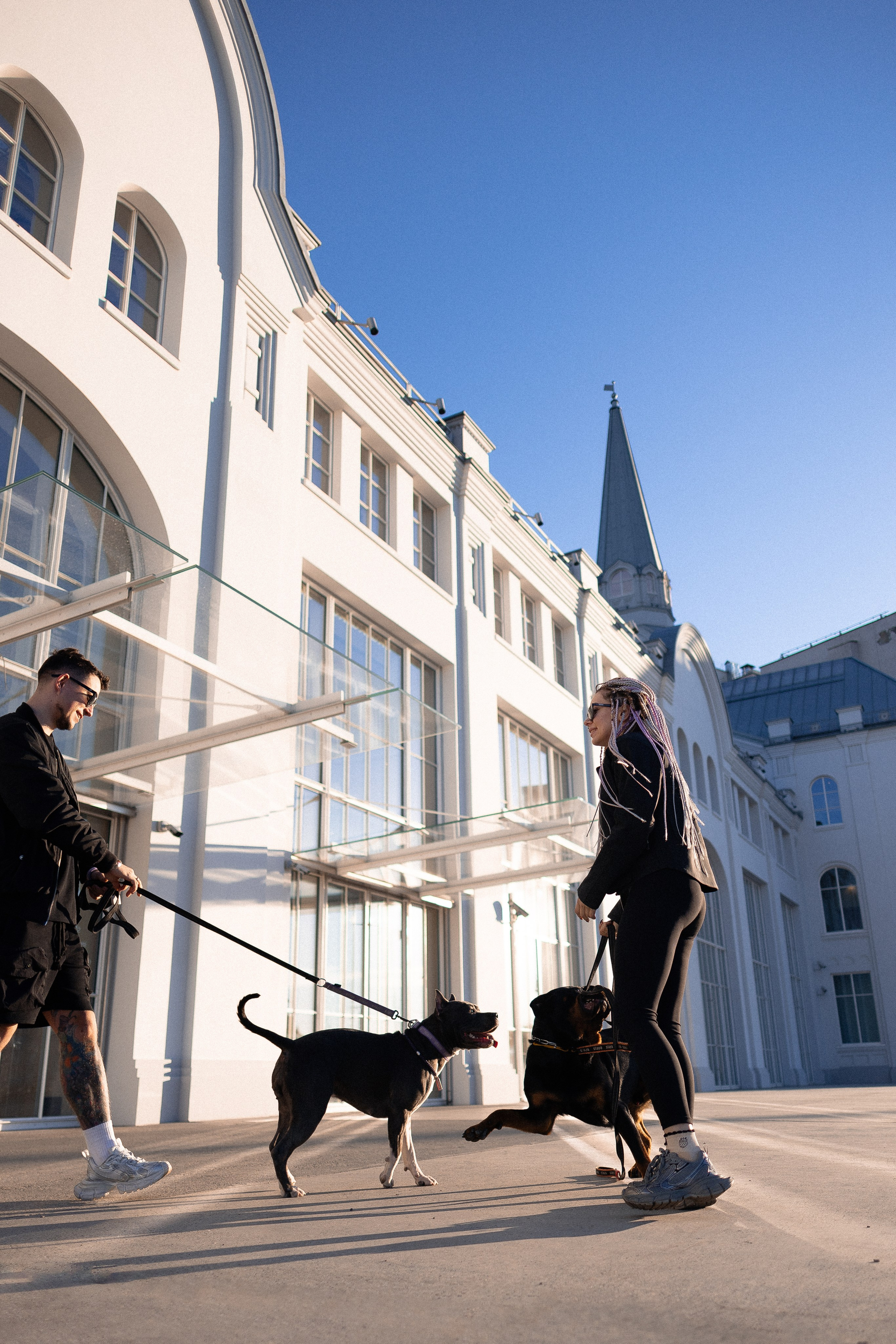 Катя, Леша, Трой и Лея. Фотограф и видеограф анималист Аганина Дарья