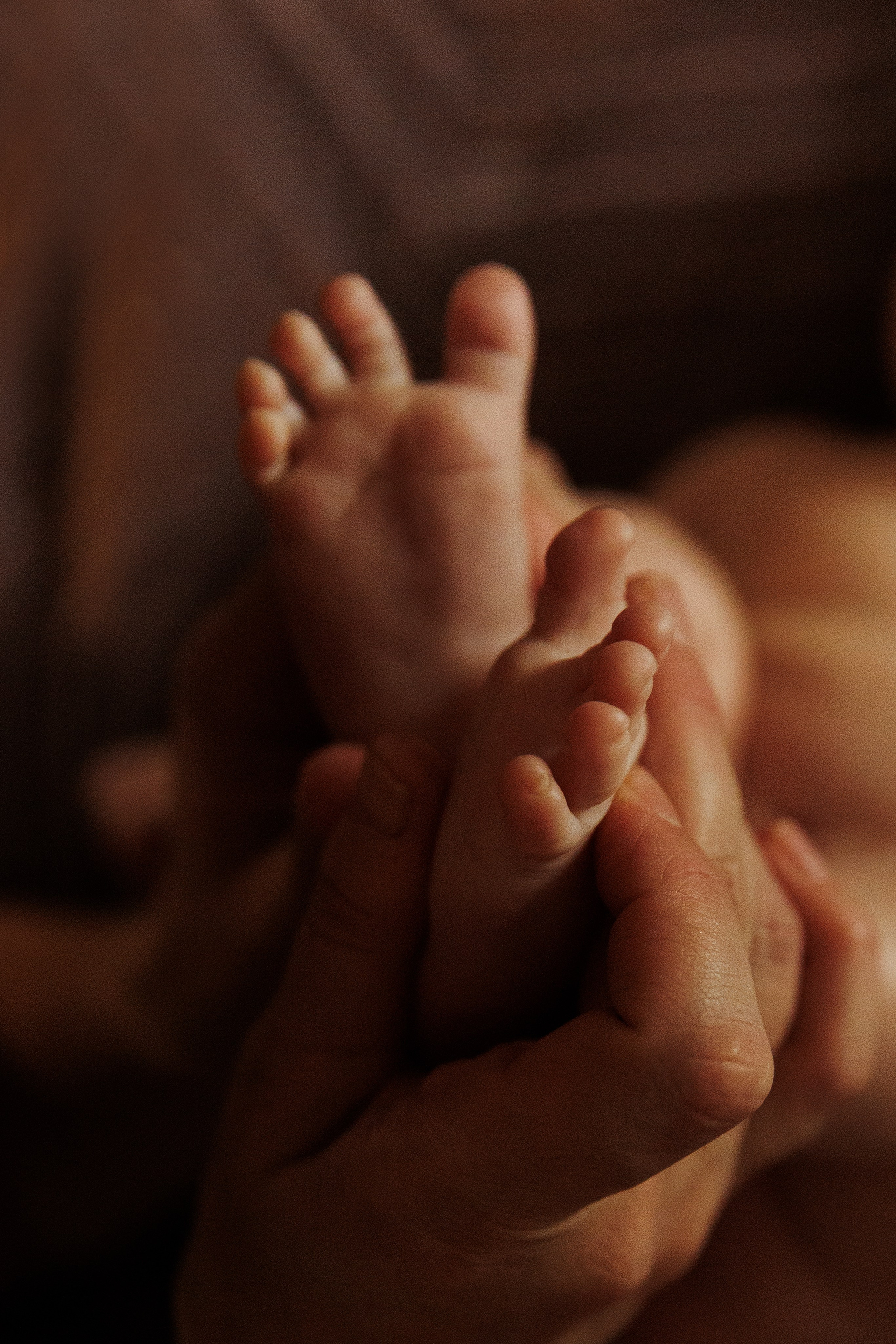 Фотограф в Красногорске и Москве