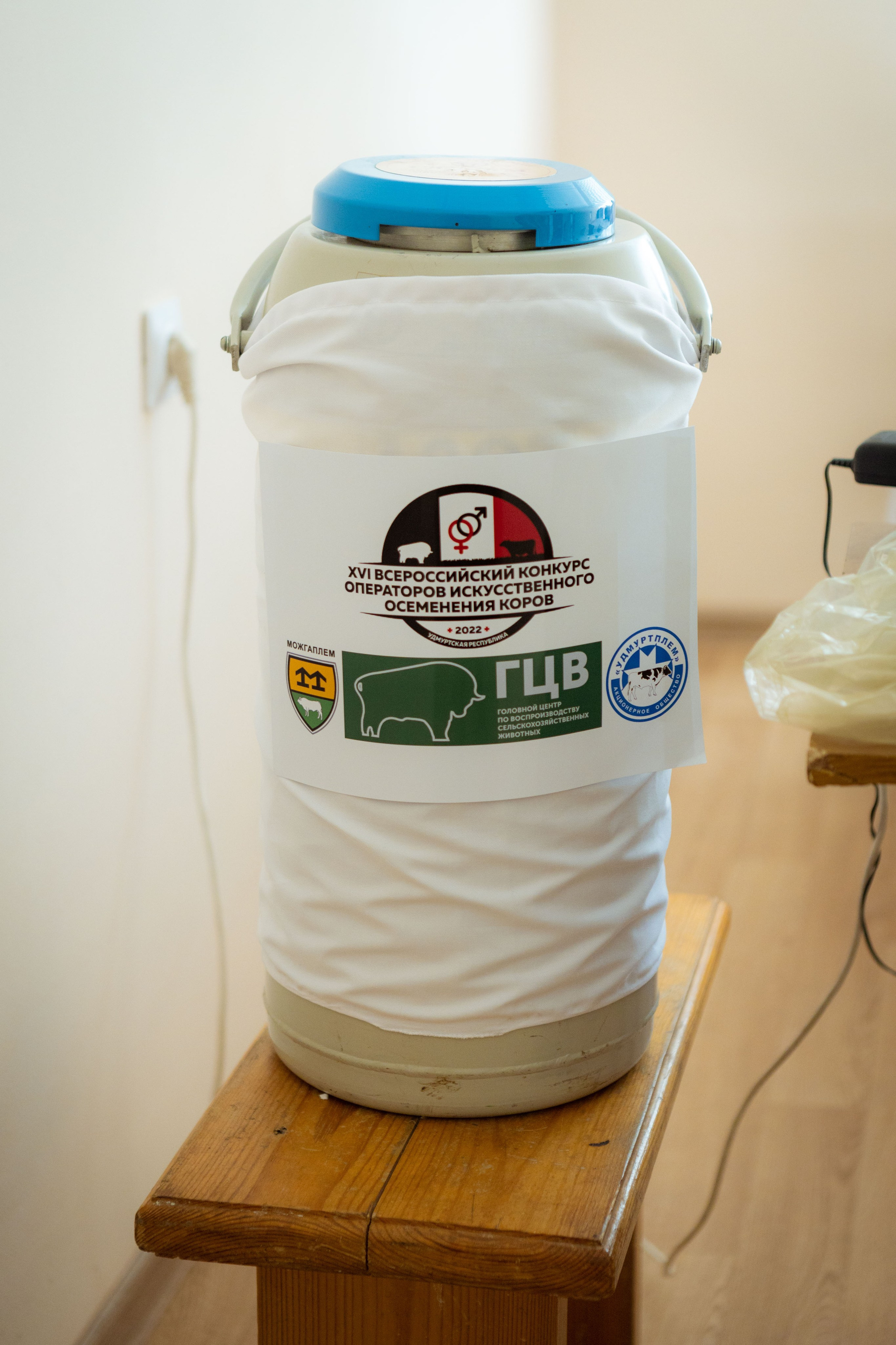 Конкурс операторов осеменения коров [17-18 августа 2022 г.]. Фотограф Виноградов Константин