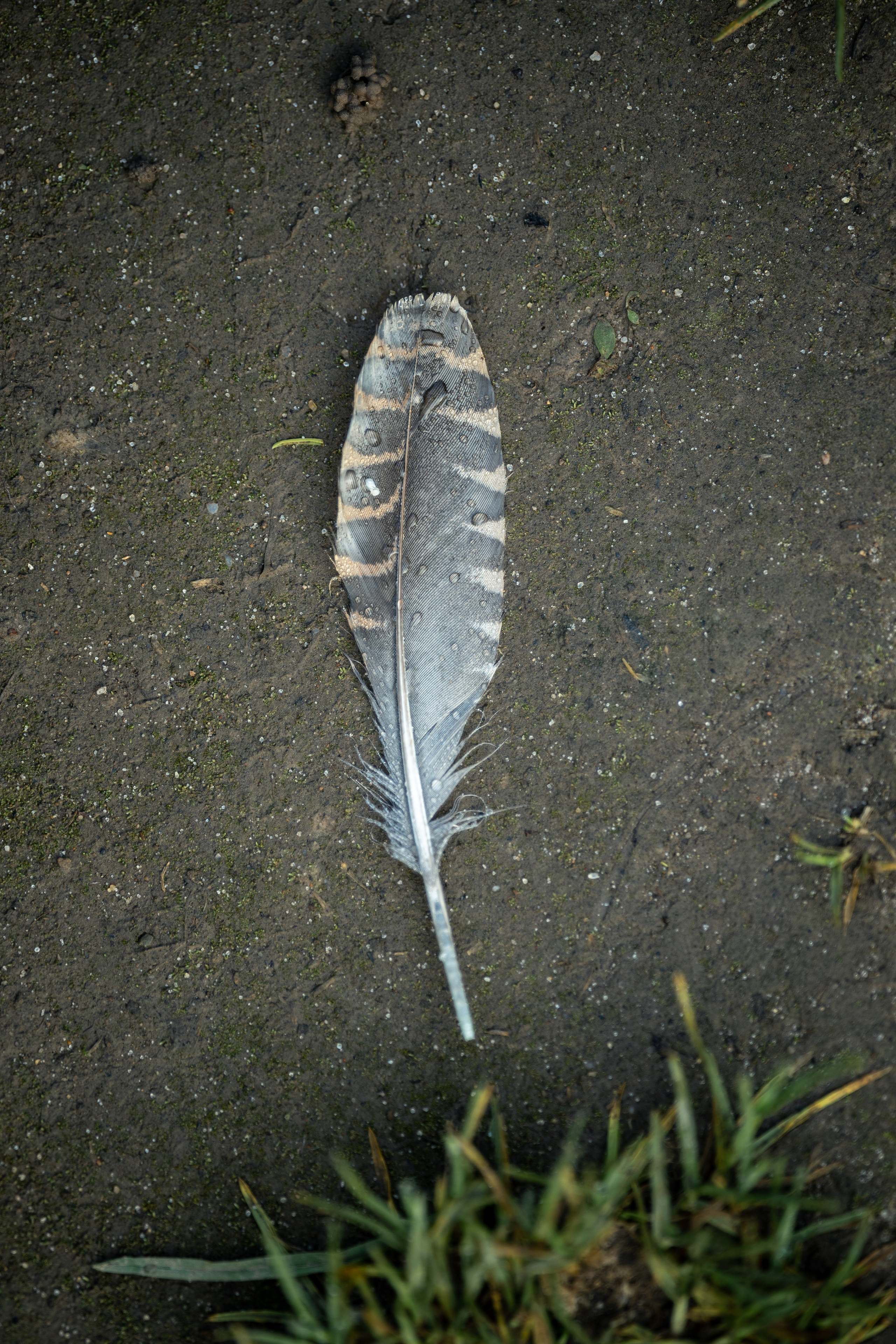 Природные пейзажи. Наталия Клевинскас портретный фотограф в Костроме