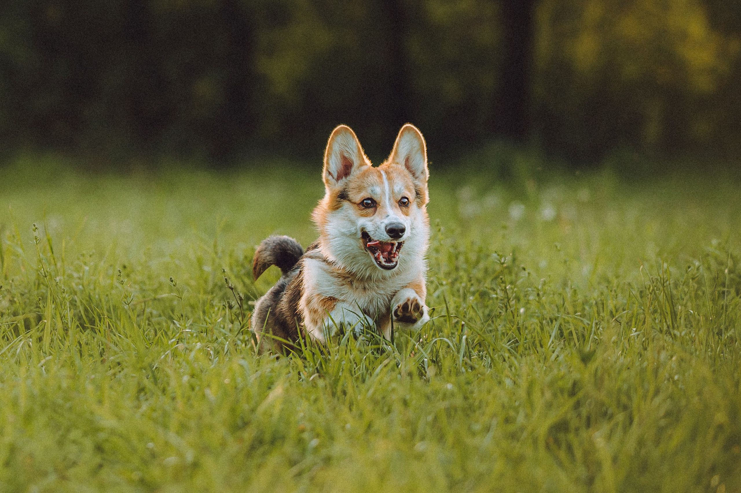 Илай, Зайка и их семья