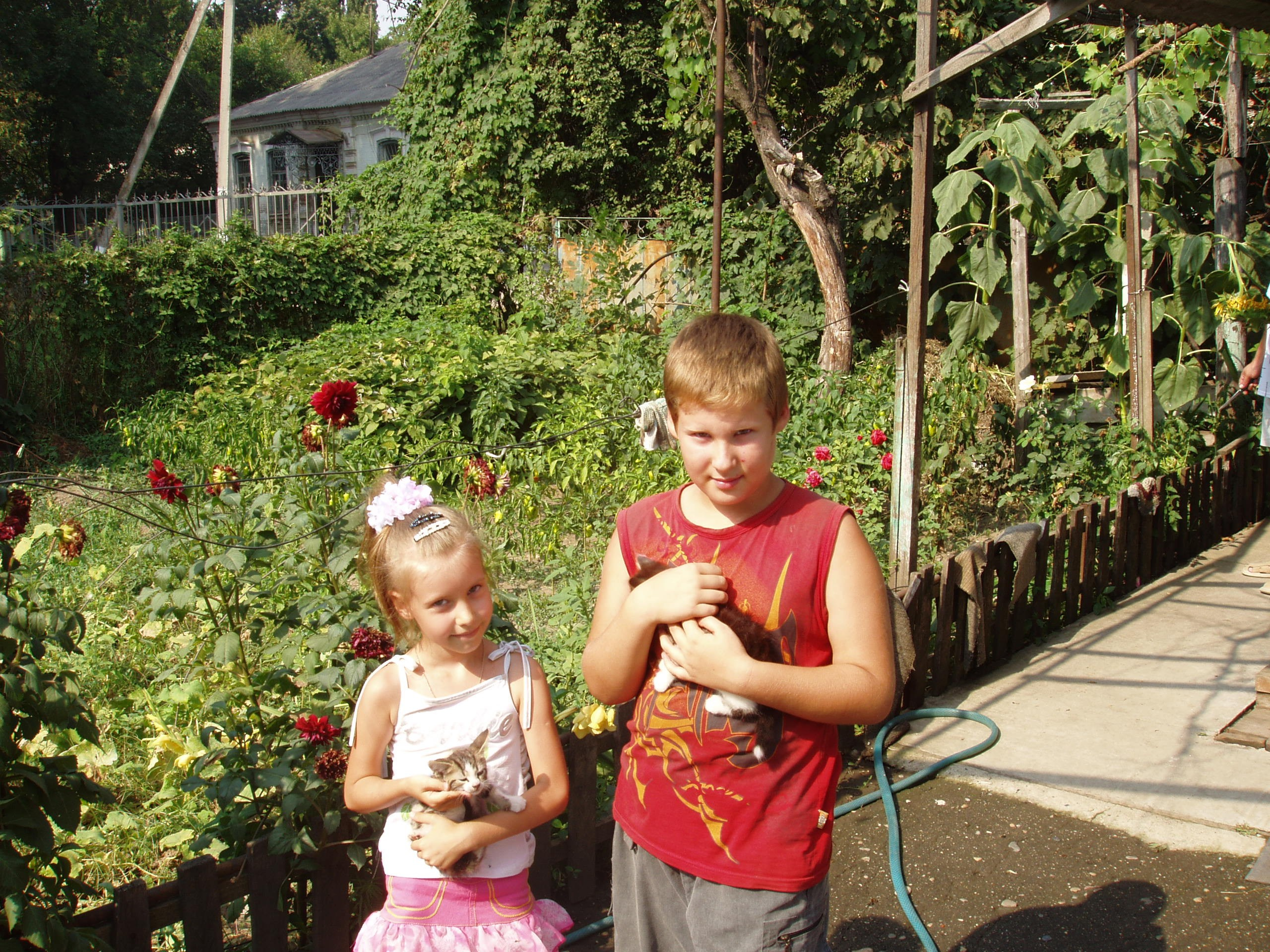 Отпуск 13.07-24.08. Семейный, Свадебный фотограф СПБ Питер— Романова Екатерина