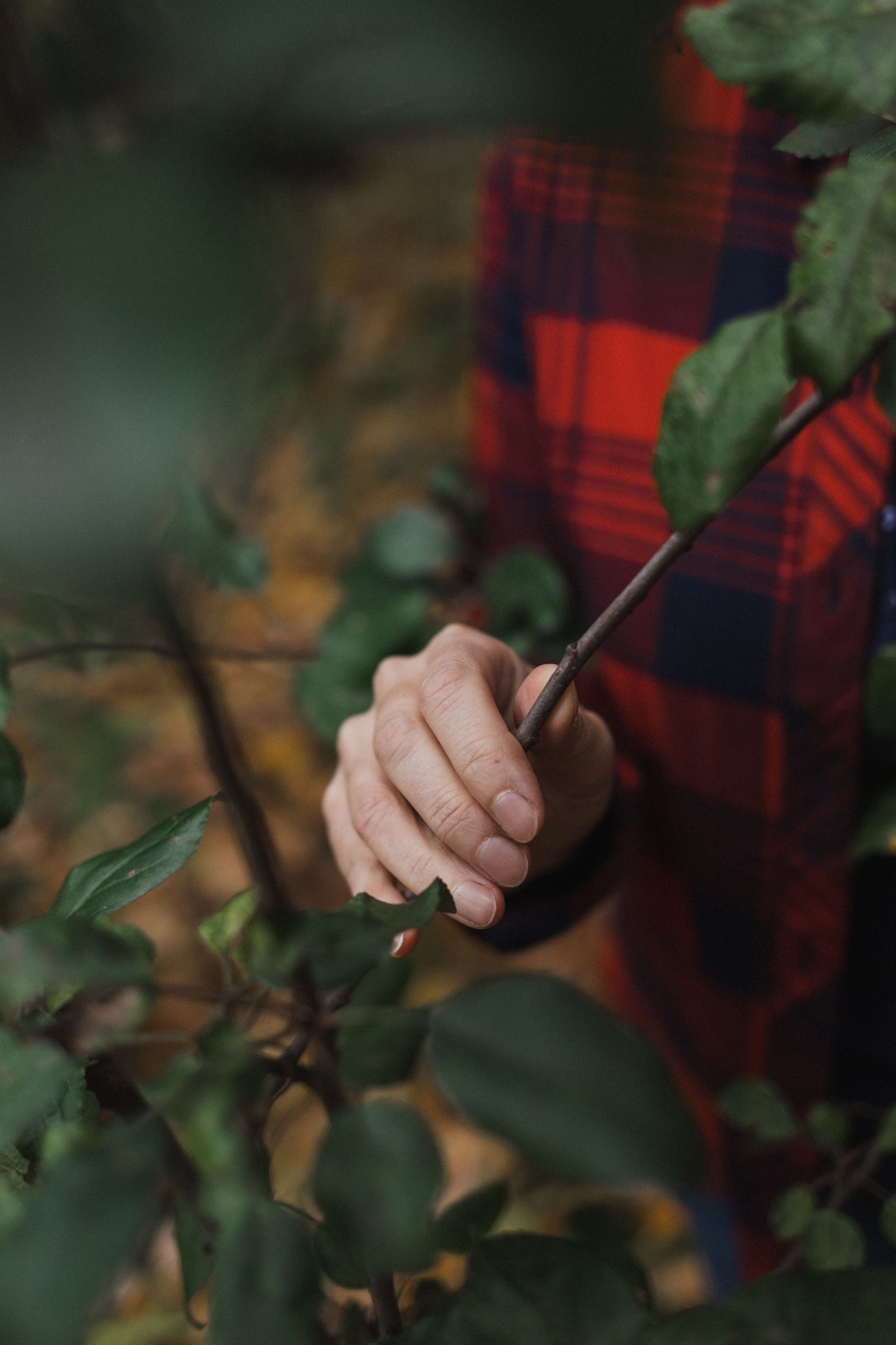 Five o'clock (история большой семьи). Семейный фотограф в Москве