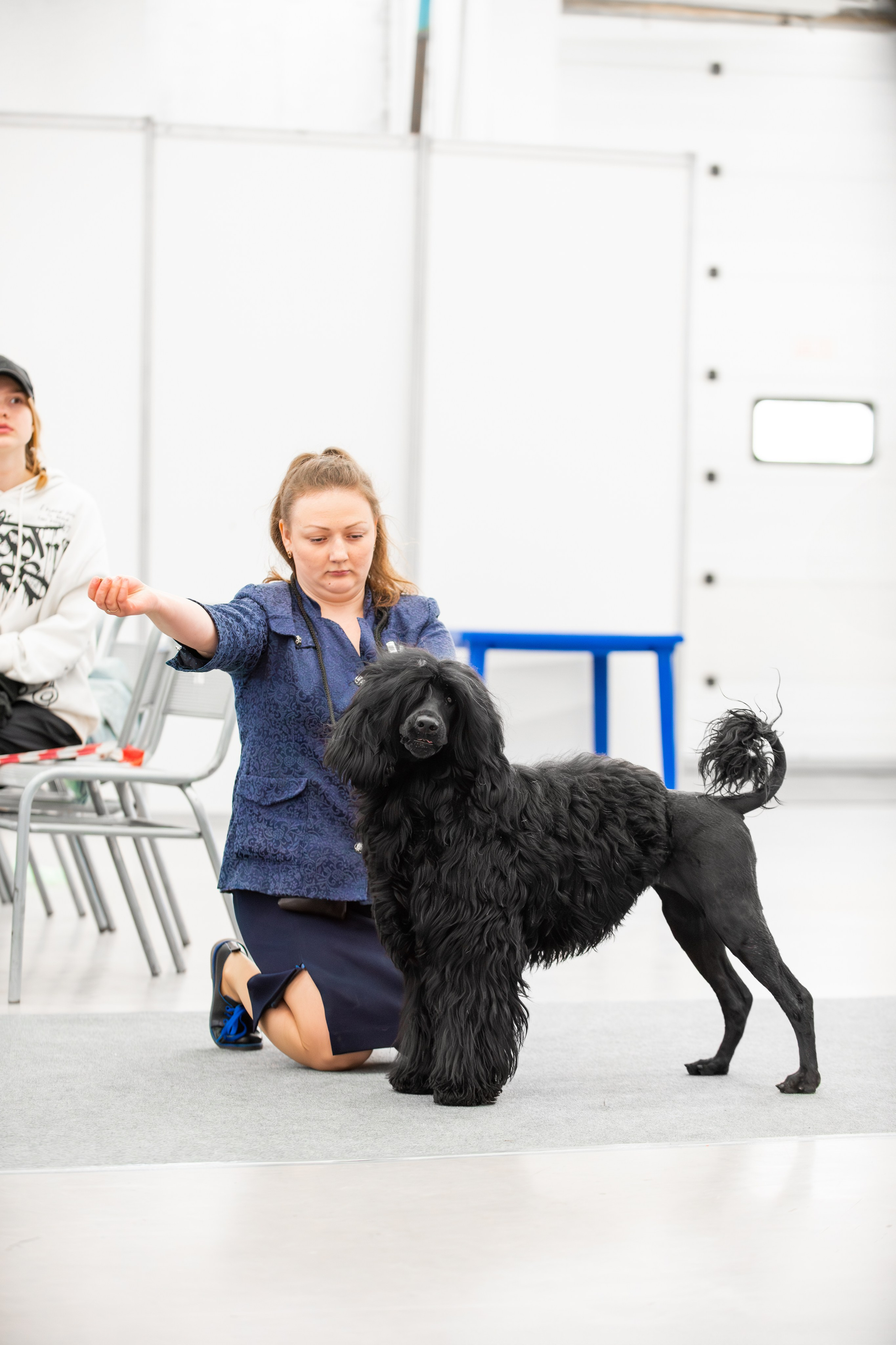 Выставки. Фотограф — Анималист