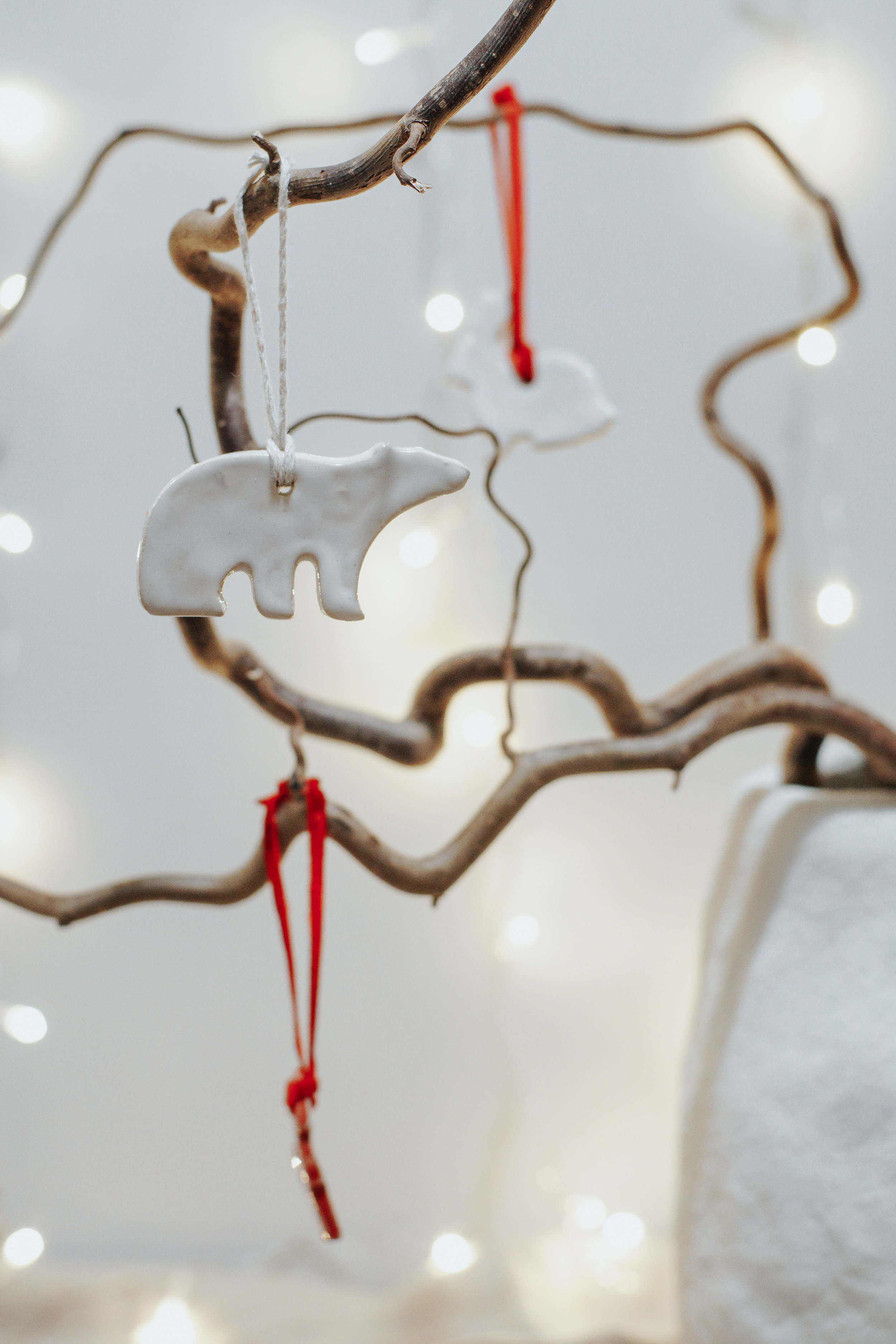 Магазин NOOK. Катя Кудринская. Фотограф на мероприятие СПб. Семейный фотограф