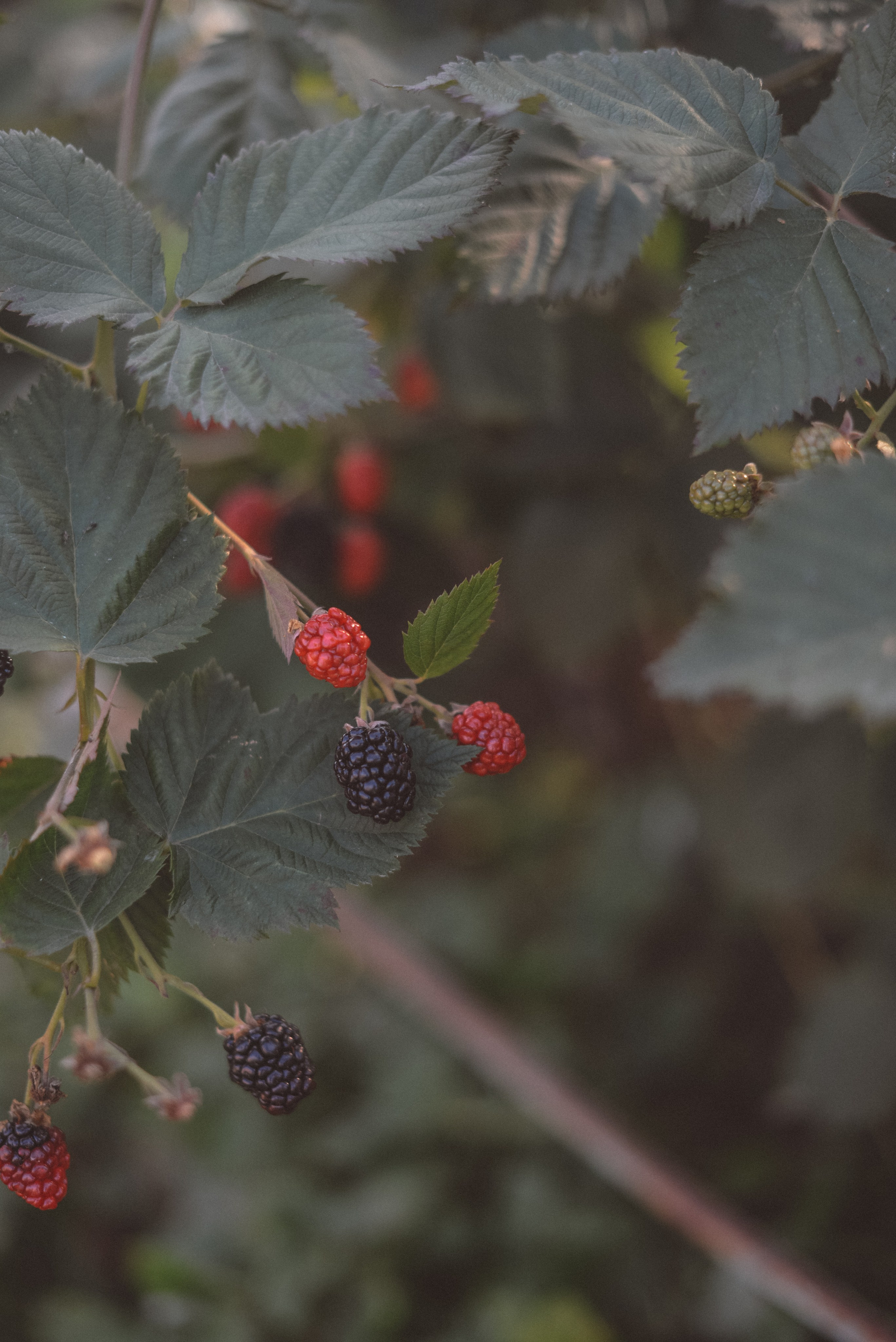 Одним осенним днем. Семейный и детский фотограф в Москве Князева Диана