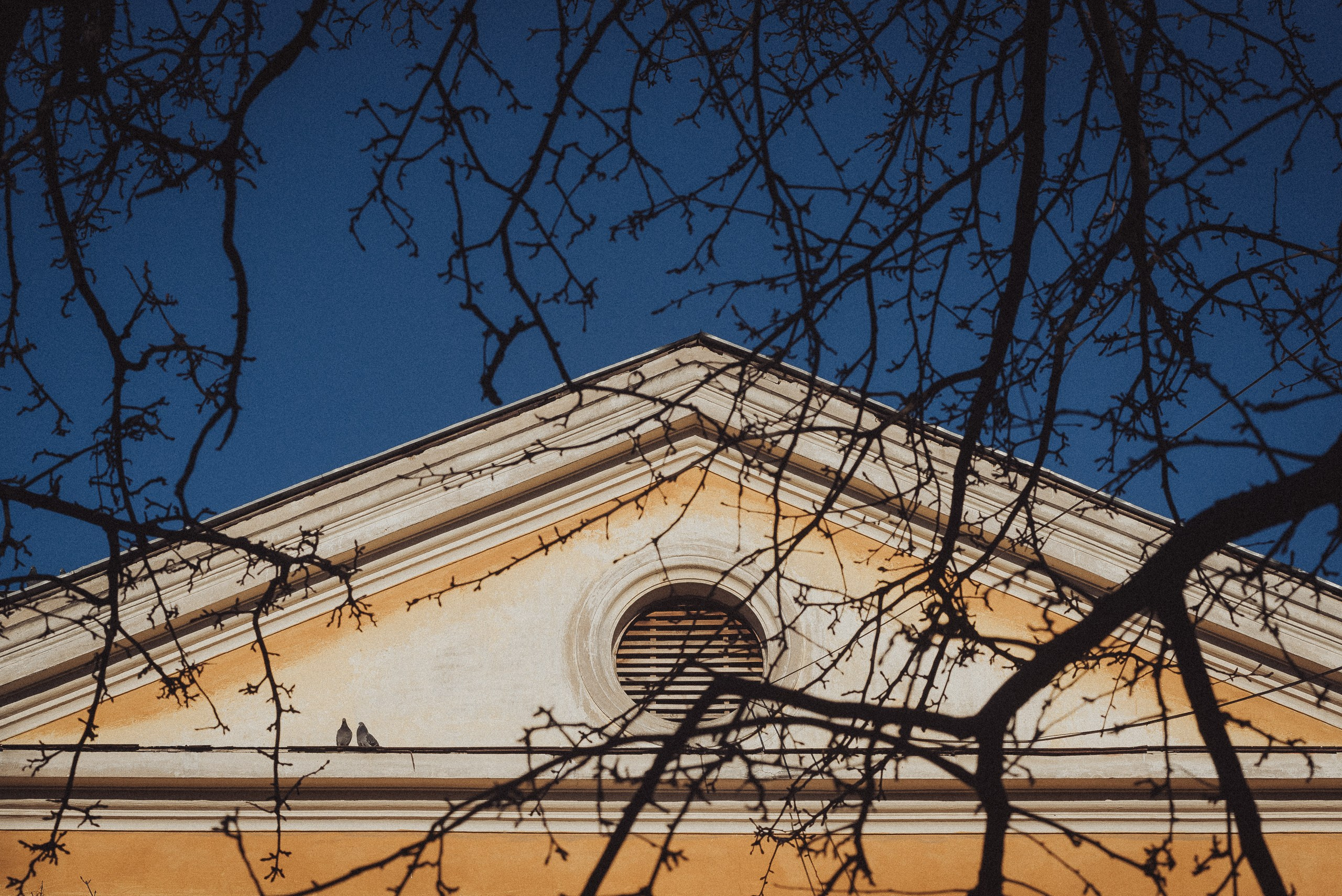 Проект #улицыгорода. Ярославль, улица Лизы Чайкиной. Документальный фотограф Илья Тихановский