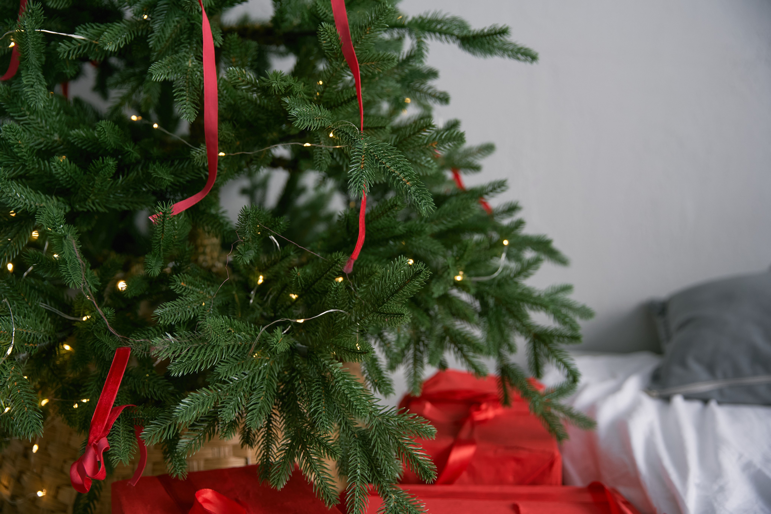 Йогини. Фотограф Улан-Удэ