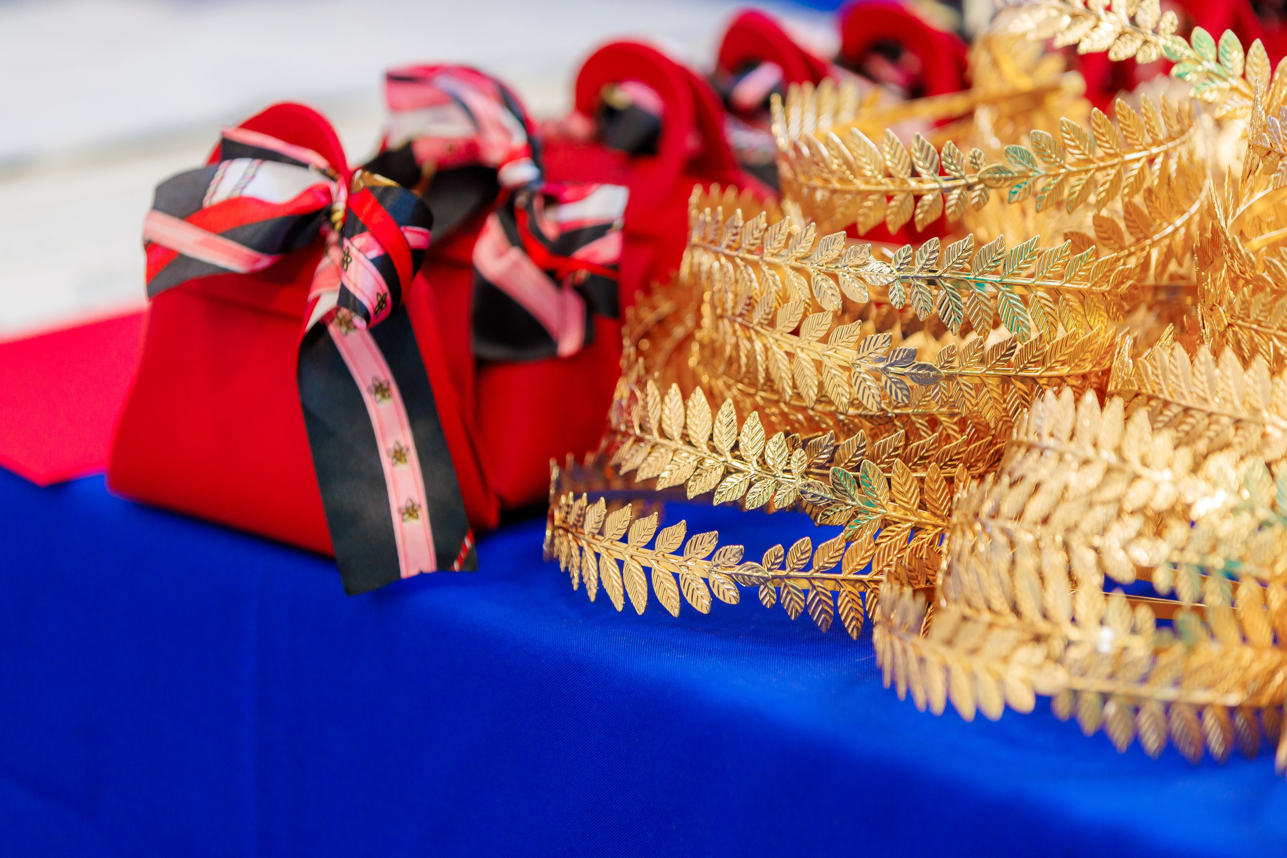 Художественная гимнастика