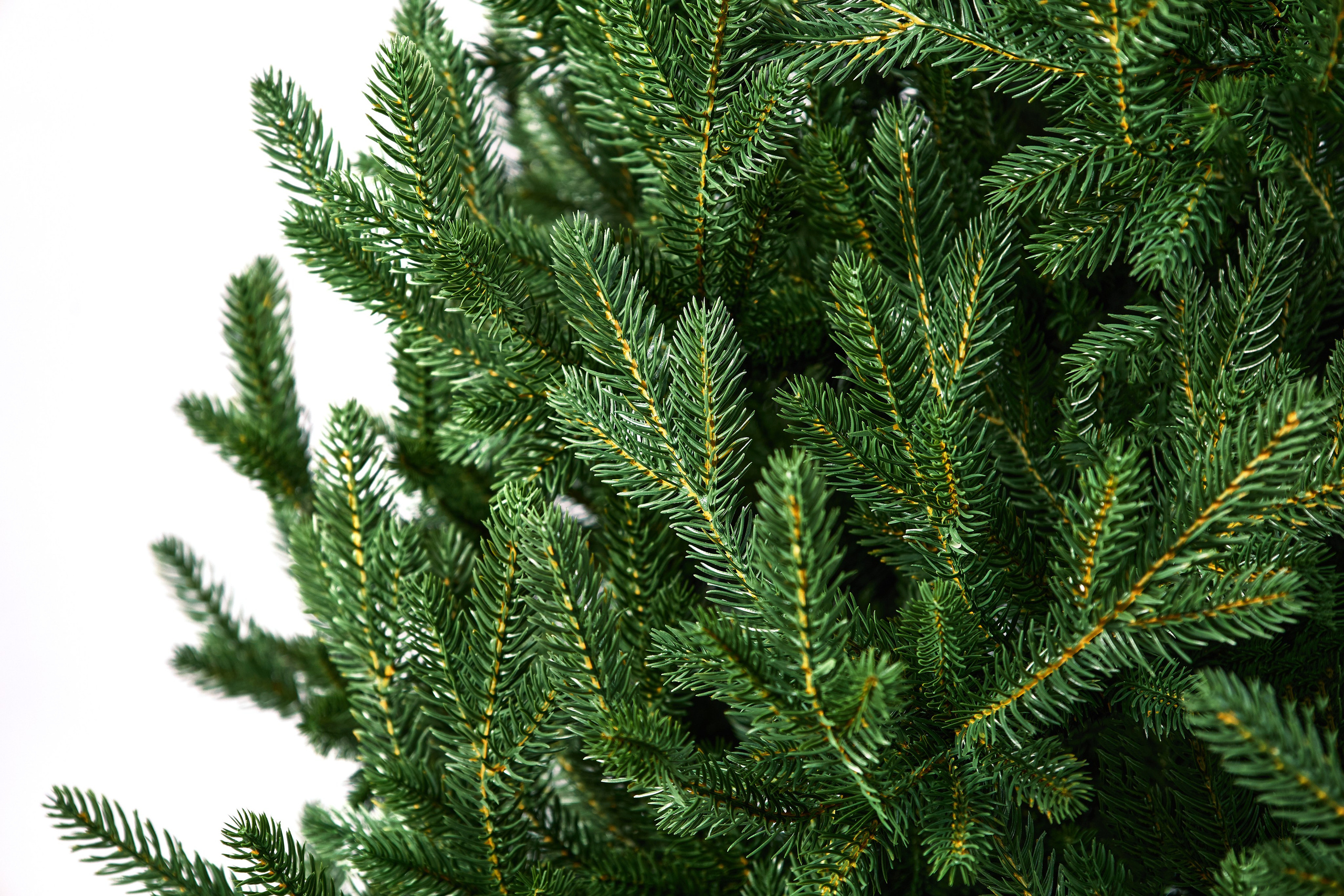 Искуственные ели и сосны. Выведите свои товары на новый уровень с профессиональной предметной фотографией. Предметный фотограф Юлия Кравченко