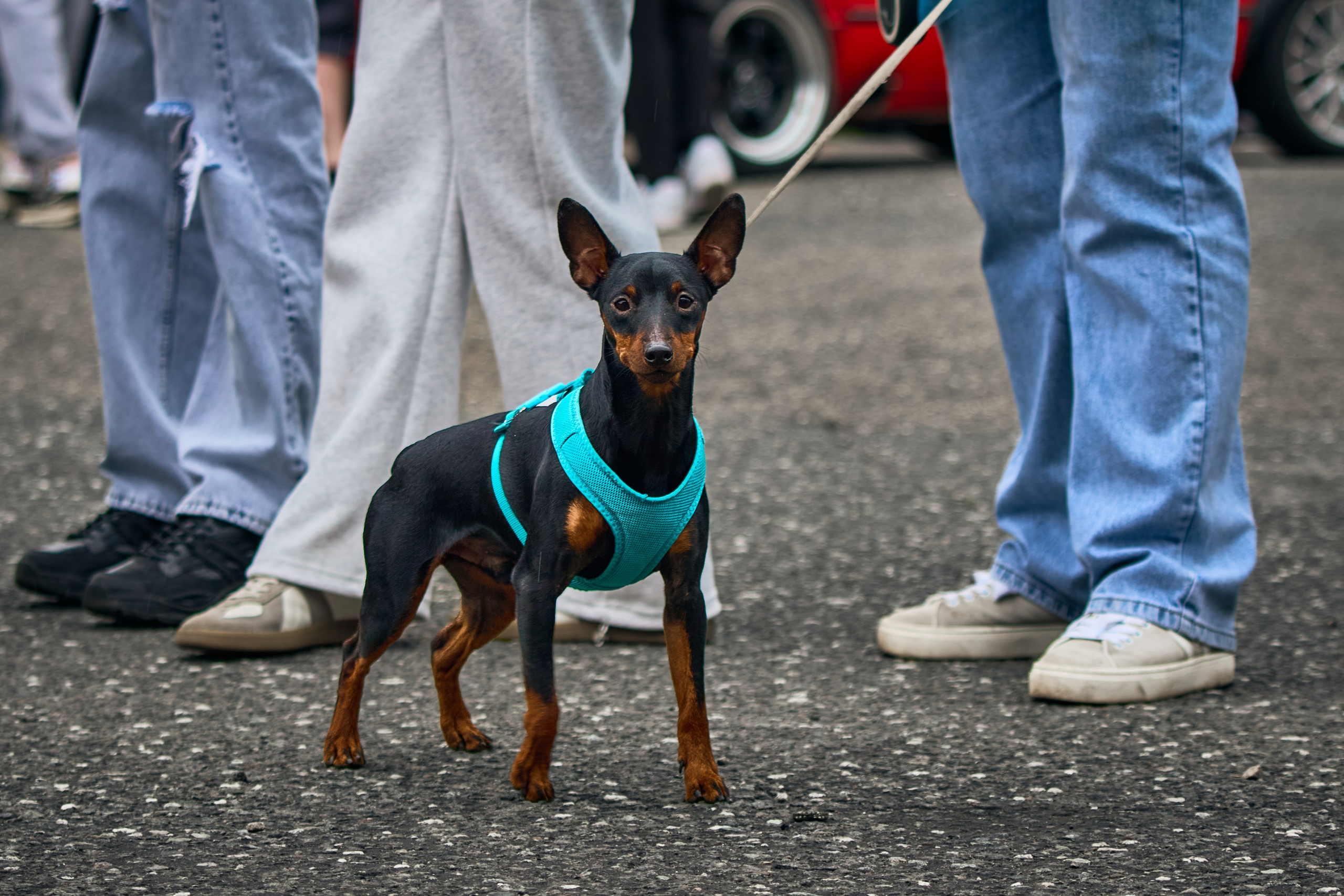 DriftExpo Track Mode ADM Raceway. FM Media Сrew. Репортажные фото и видео