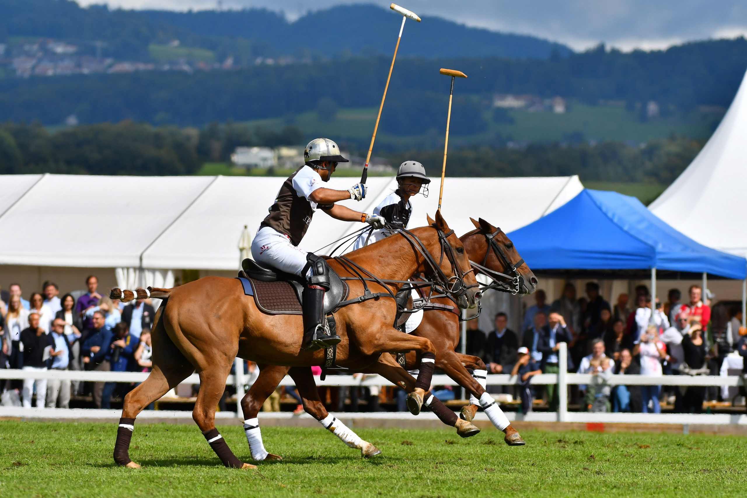 Polo art photos. Art photos of horses — ARTUR BABOEV | Photographer