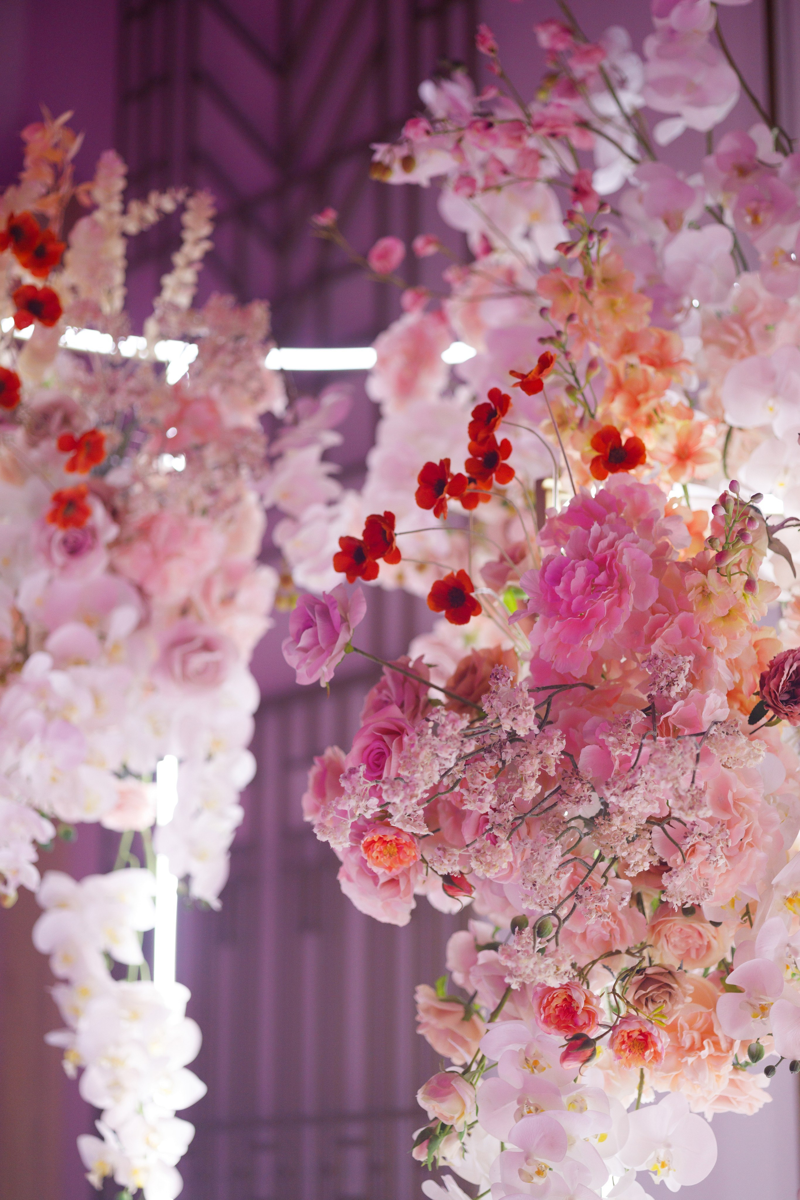 Портфолио репортаж. Репортжаный и свадебный фотограф Москва, Влада Азарова