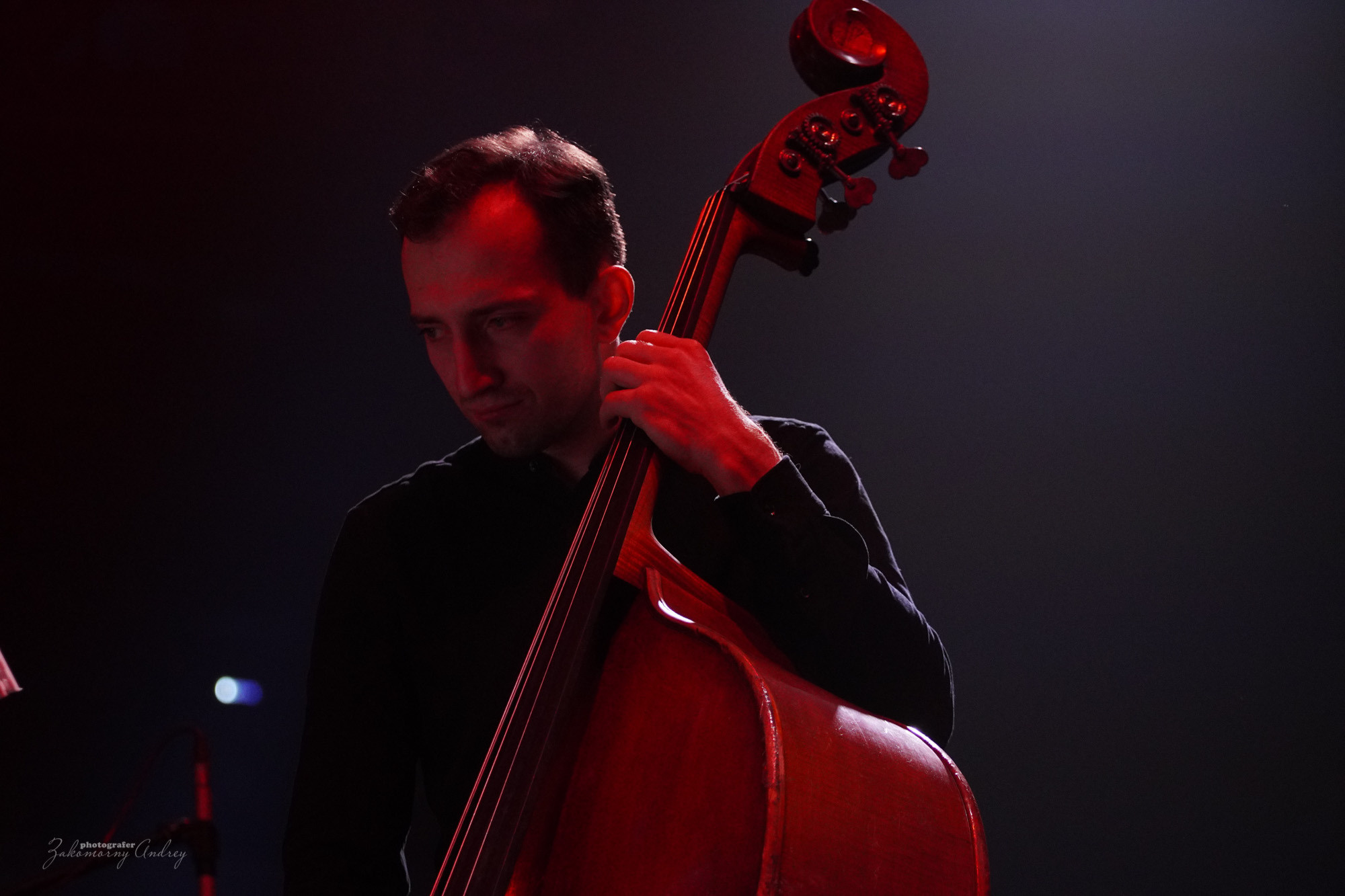 фотосъёмка фоторепортажа, фотосъёмка концерта, фотосъёмка мероприятия.