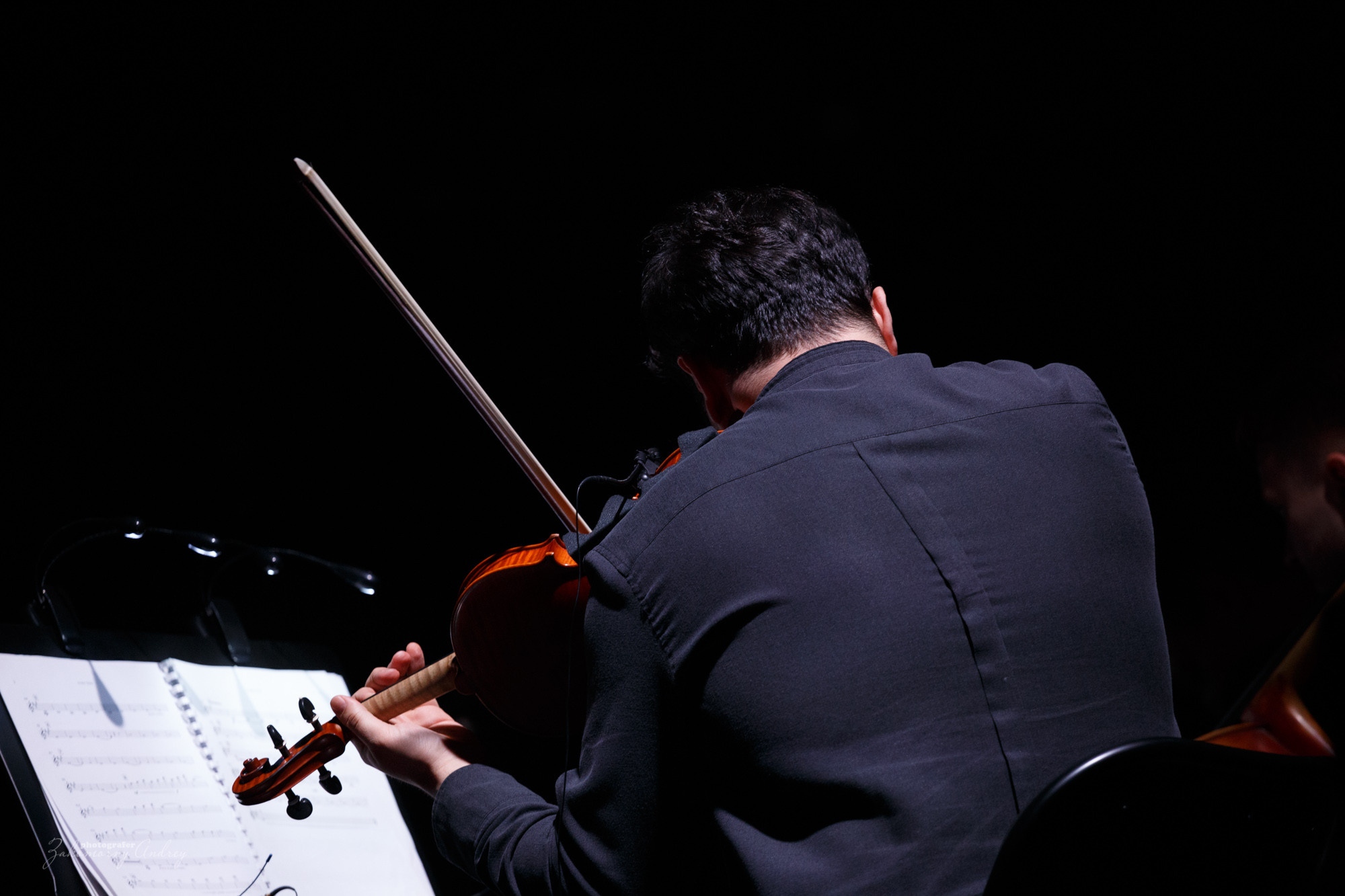 фотосъёмка фоторепортажа, фотосъёмка концерта, фотосъёмка мероприятия.