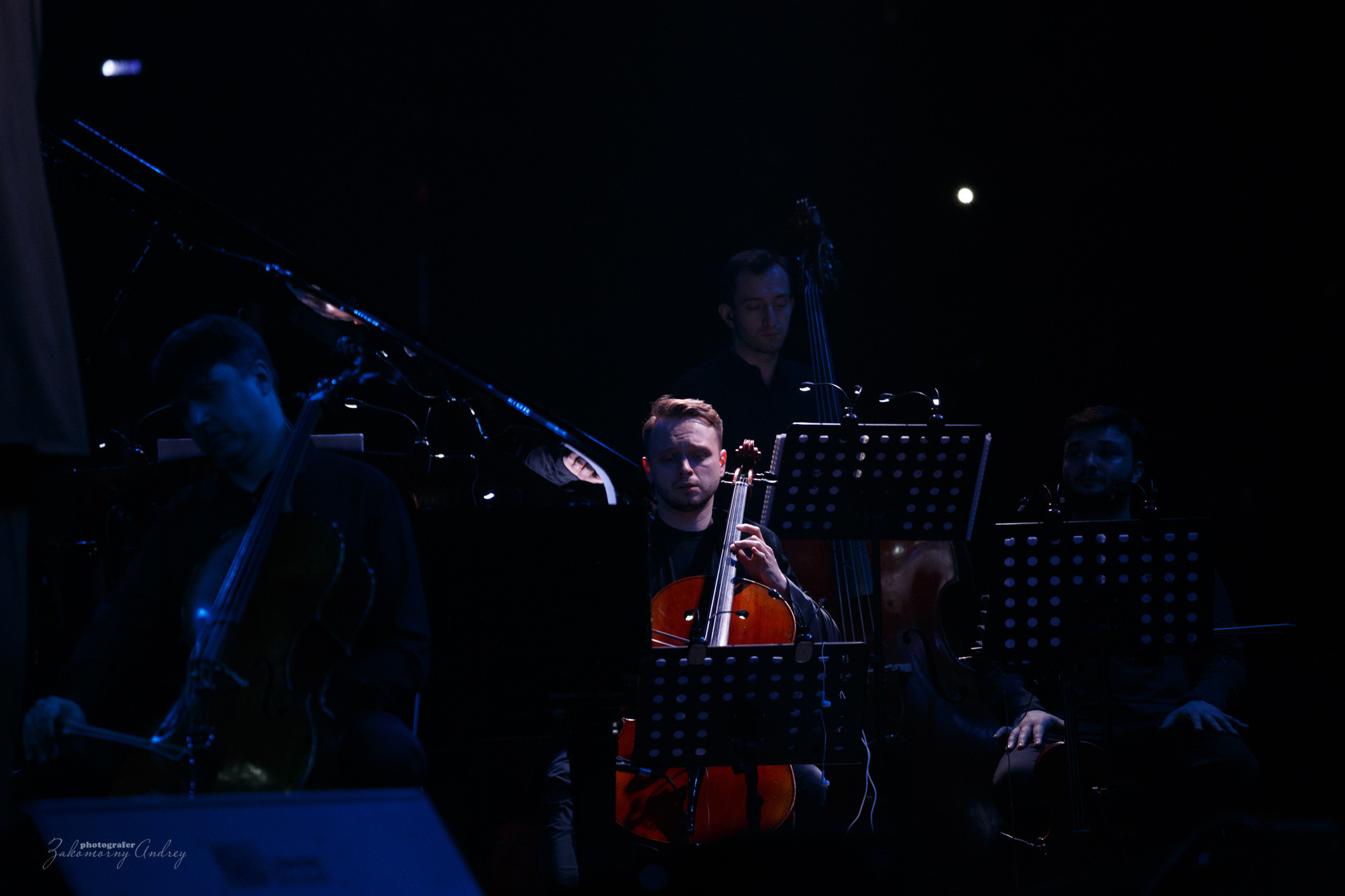 фотосъёмка фоторепортажа, фотосъёмка концерта, фотосъёмка мероприятия.