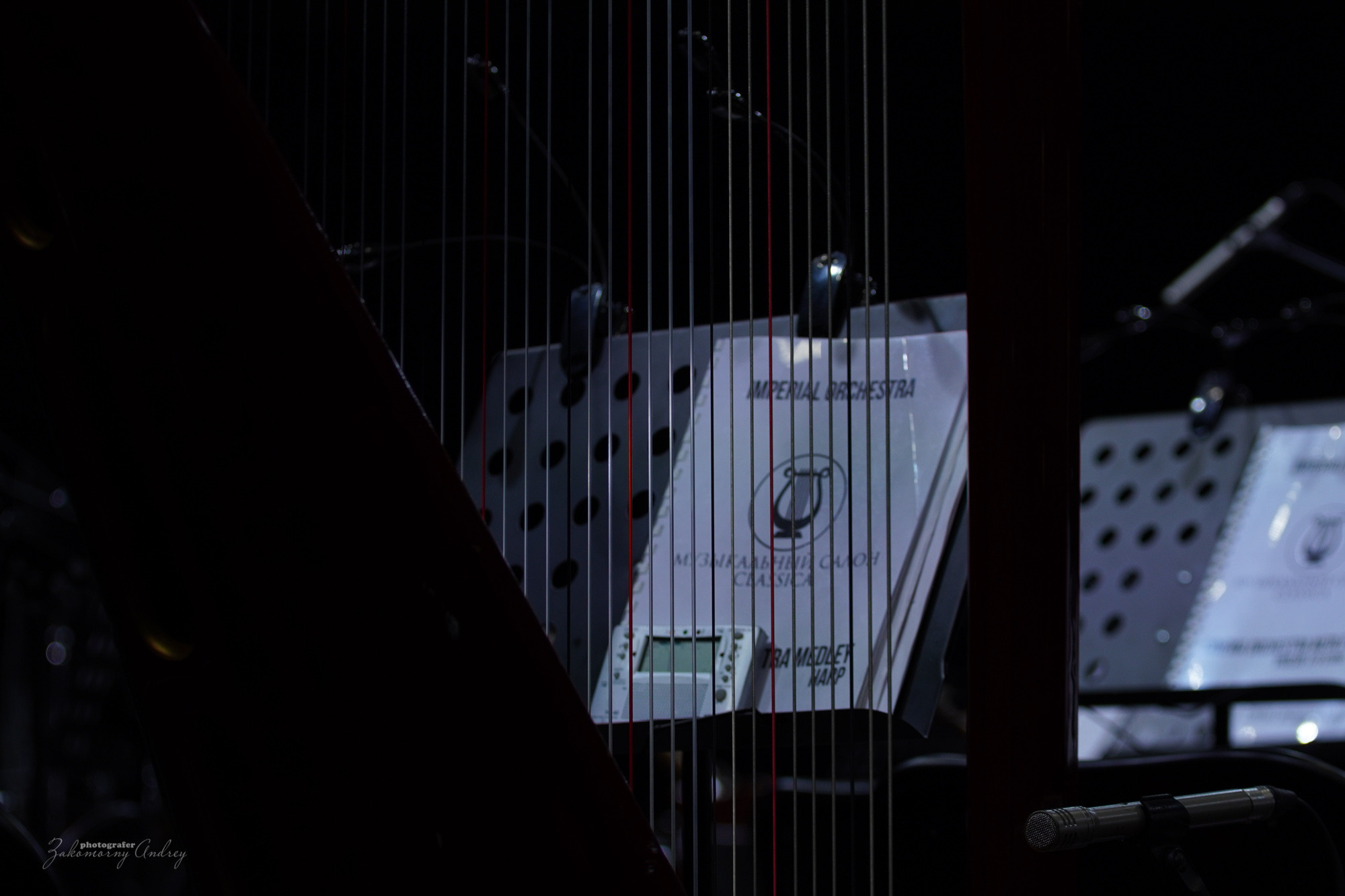 фотосъёмка фоторепортажа, фотосъёмка концерта, фотосъёмка мероприятия.