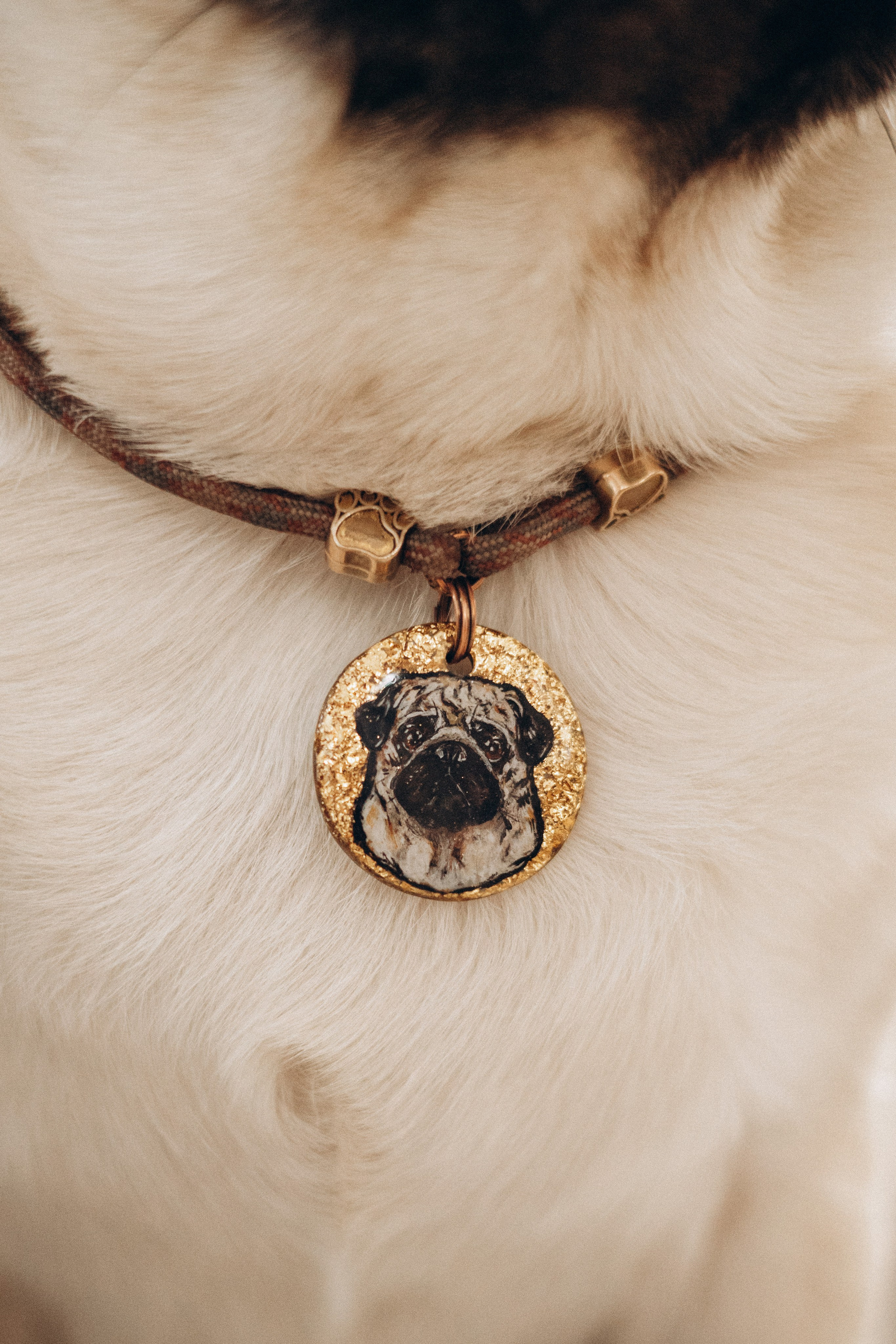 Семейная для Ксюши. Фотограф — Анималист | Санкт-Петербург