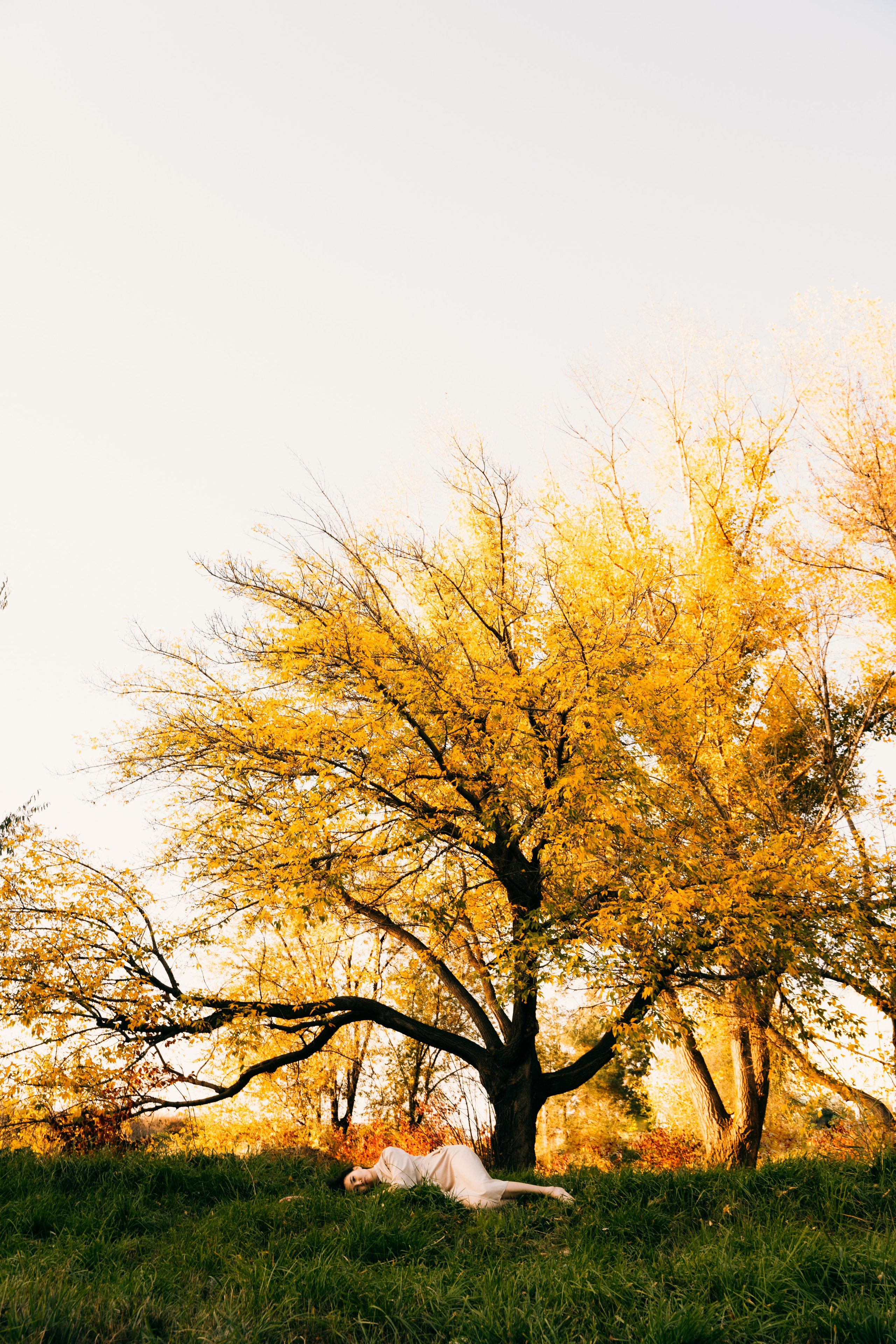 Портфолио. Фотограф и видеограф Москва