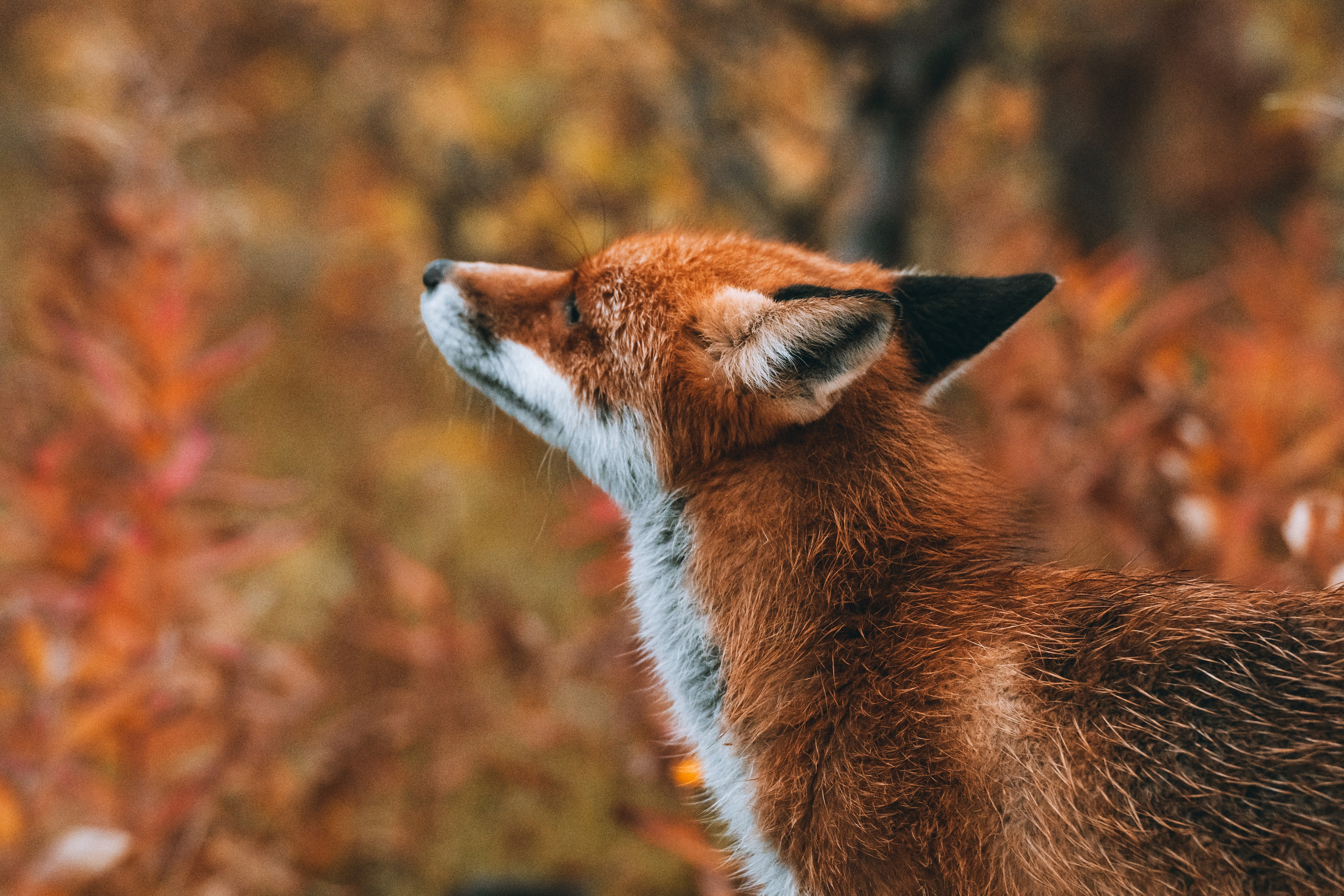 СЕВЕР. Event фотограф Степанова Александра