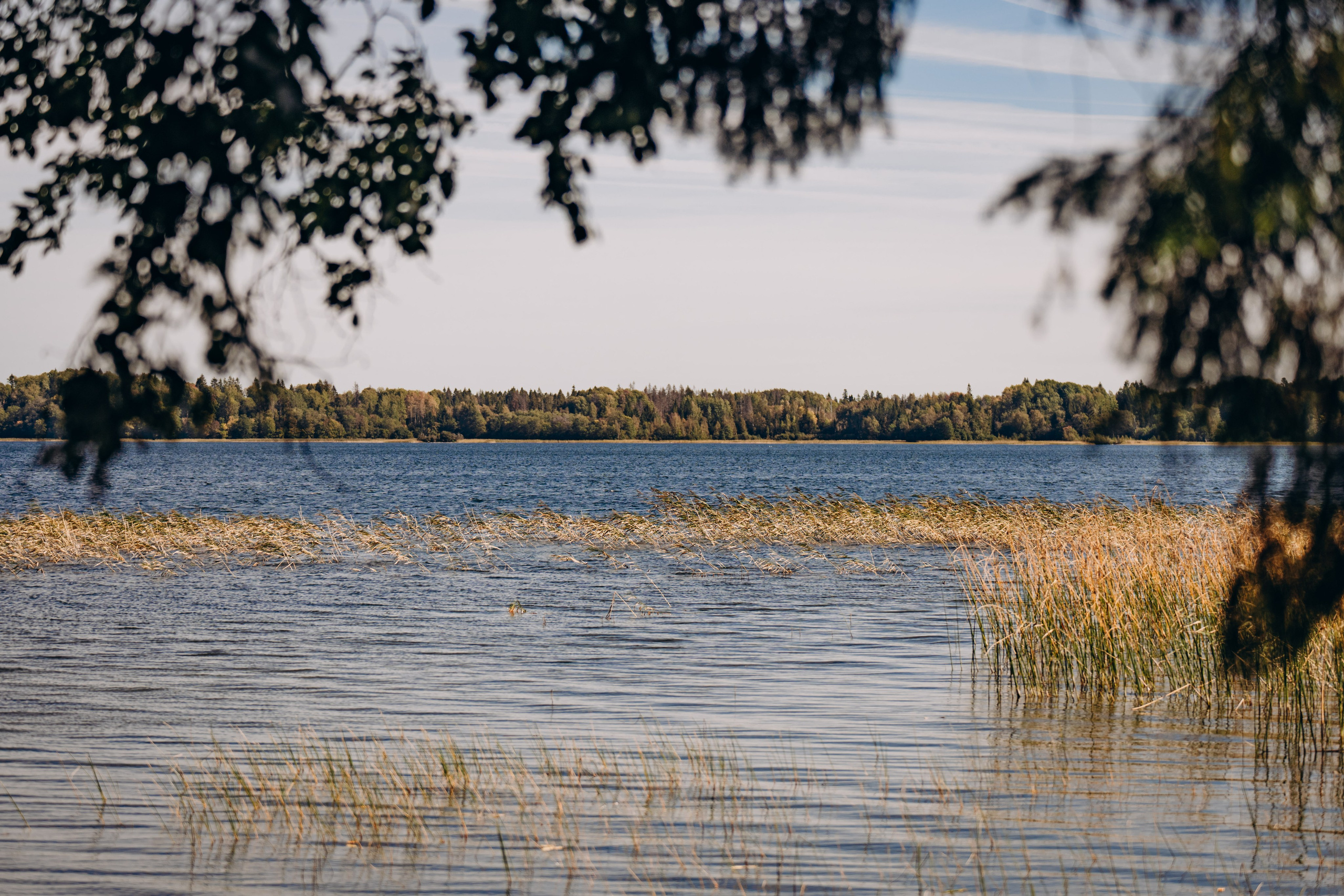 СЕВЕР. Event фотограф Степанова Александра
