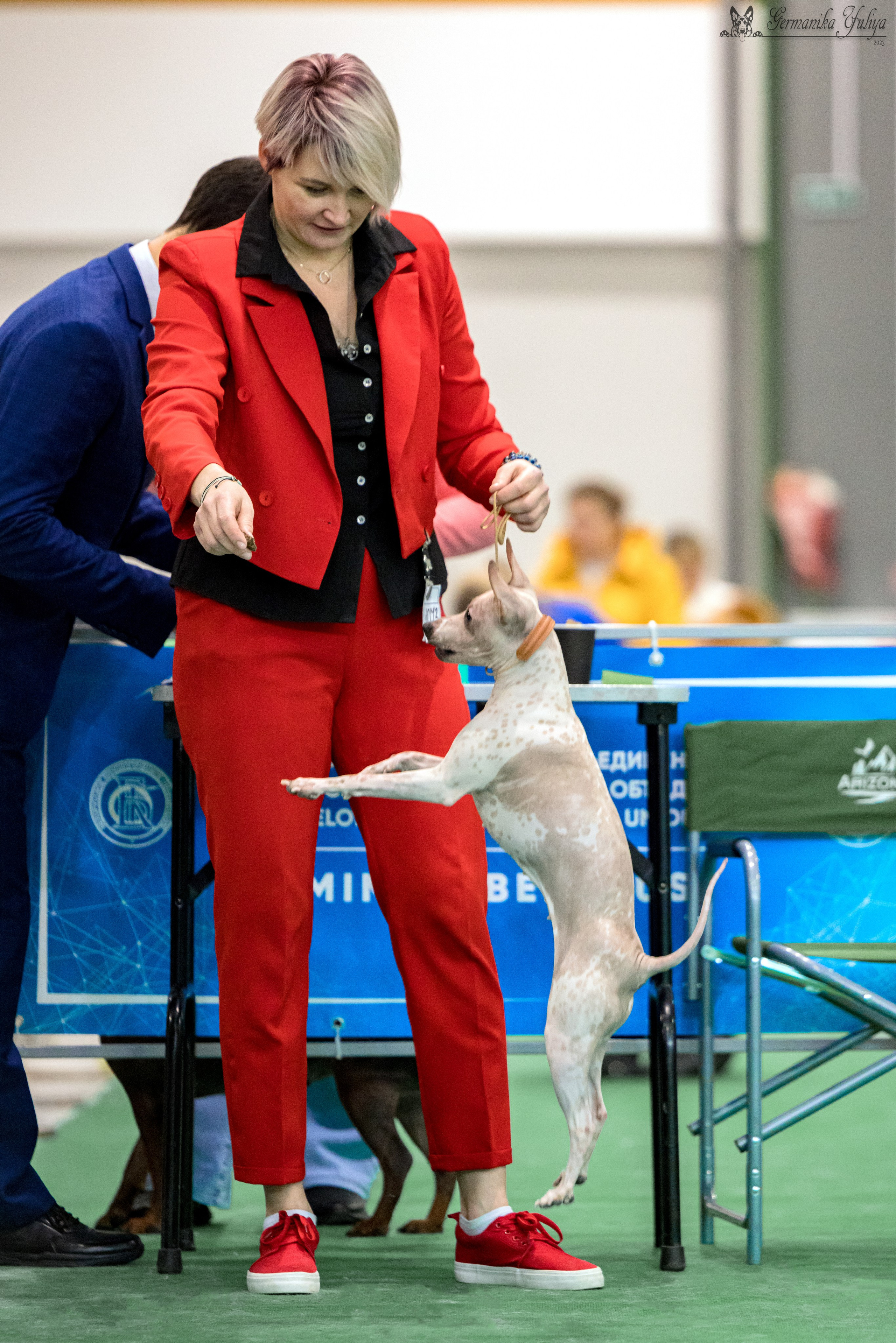 Минск 25-26.11.2023. Фотограф-анималист Юлия Германика