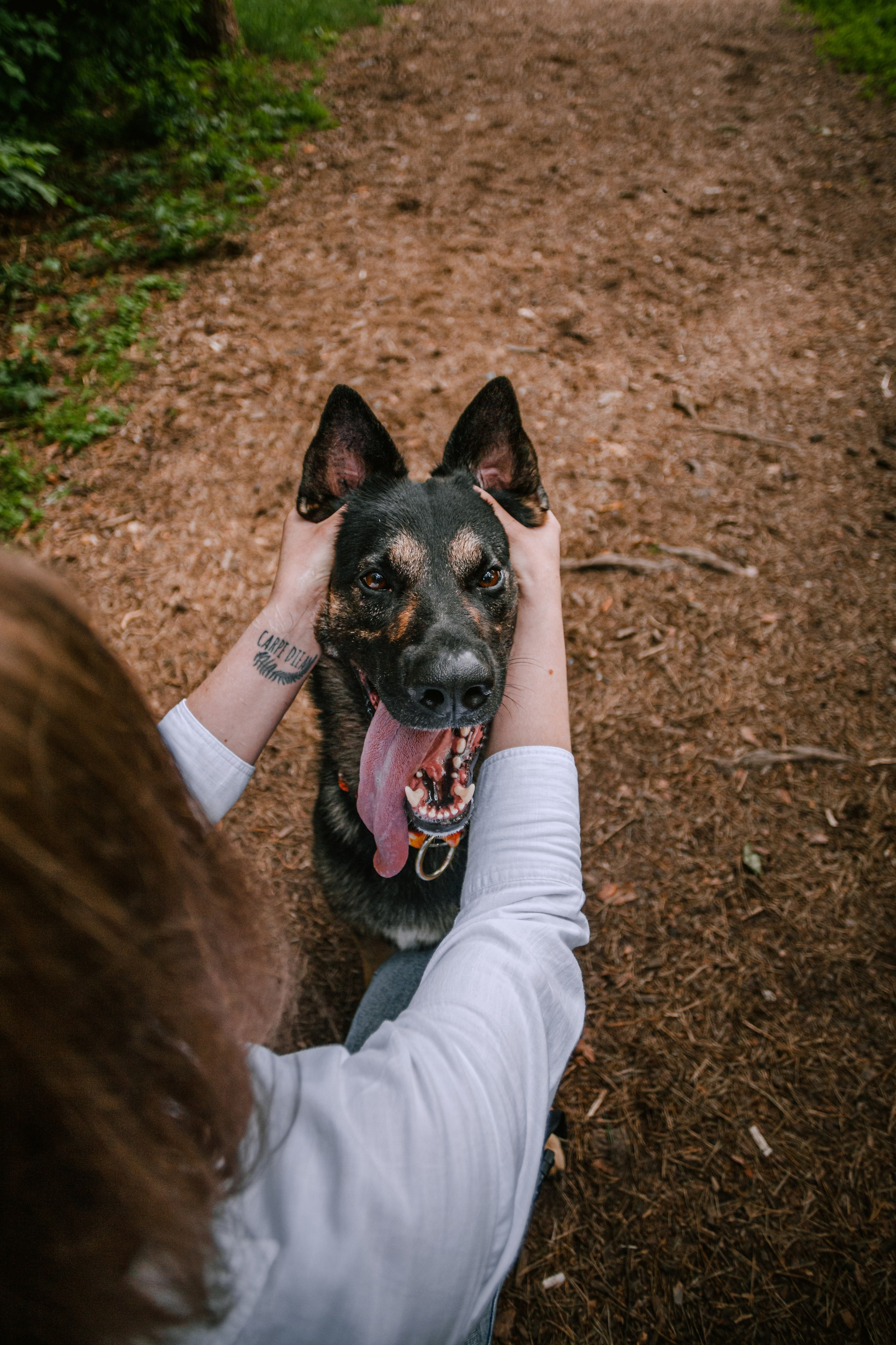 Лесная летняя фотопрогулка. Фотограф-анималист Татьяна Степанова