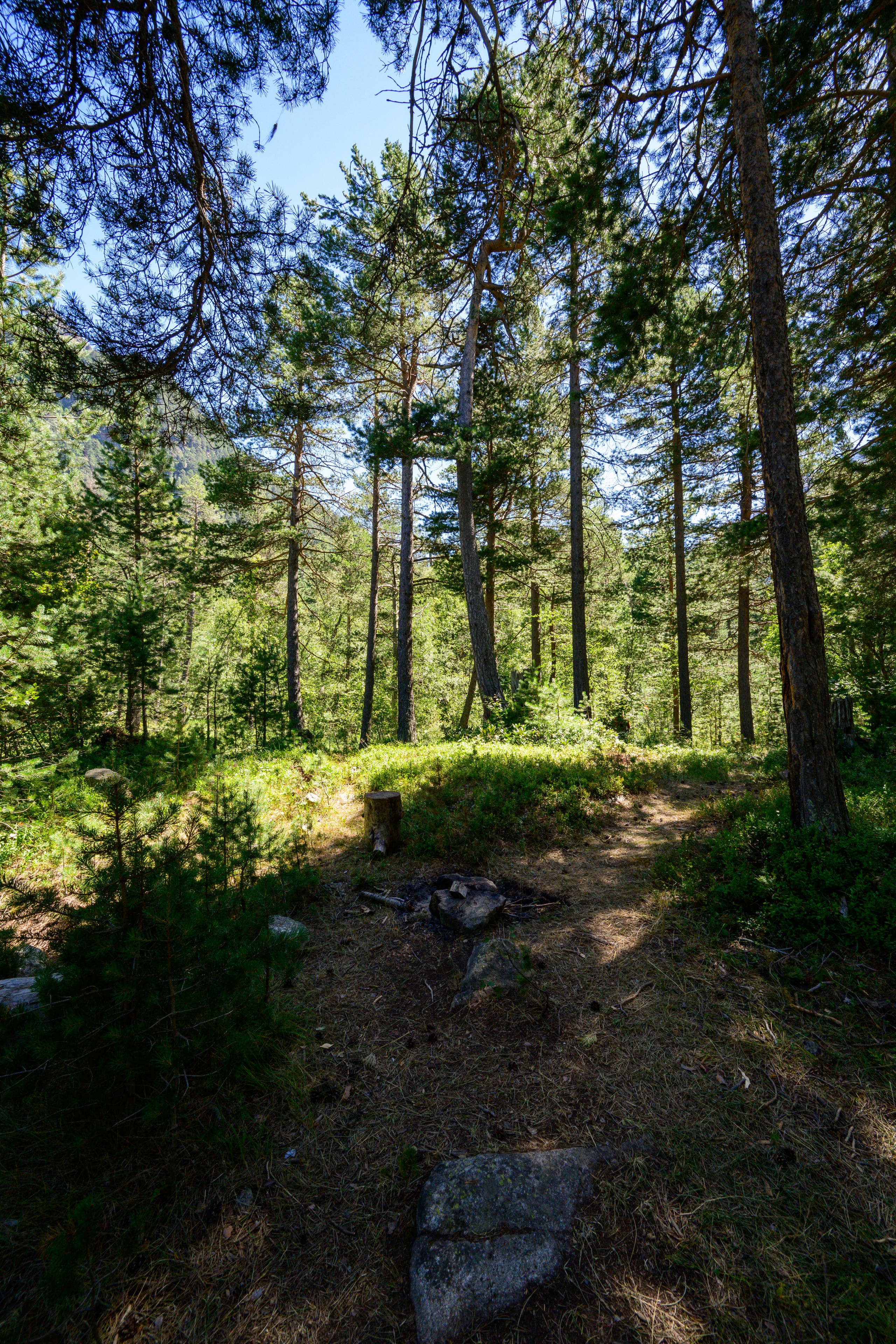 Экспедиция 2025