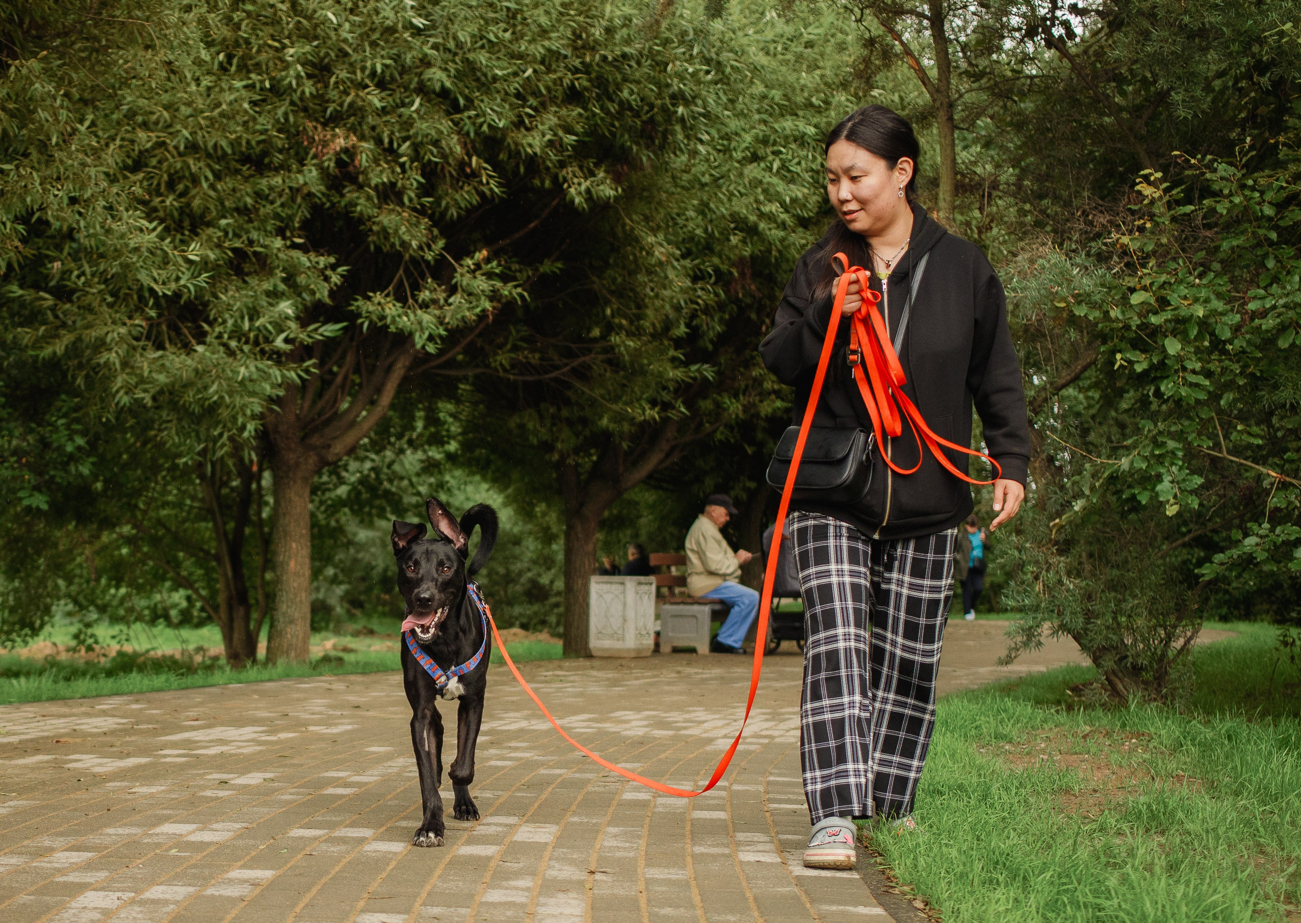 Отис ищет дом. Портретный фотограф в Санкт-Петербурге Катя Протасевич